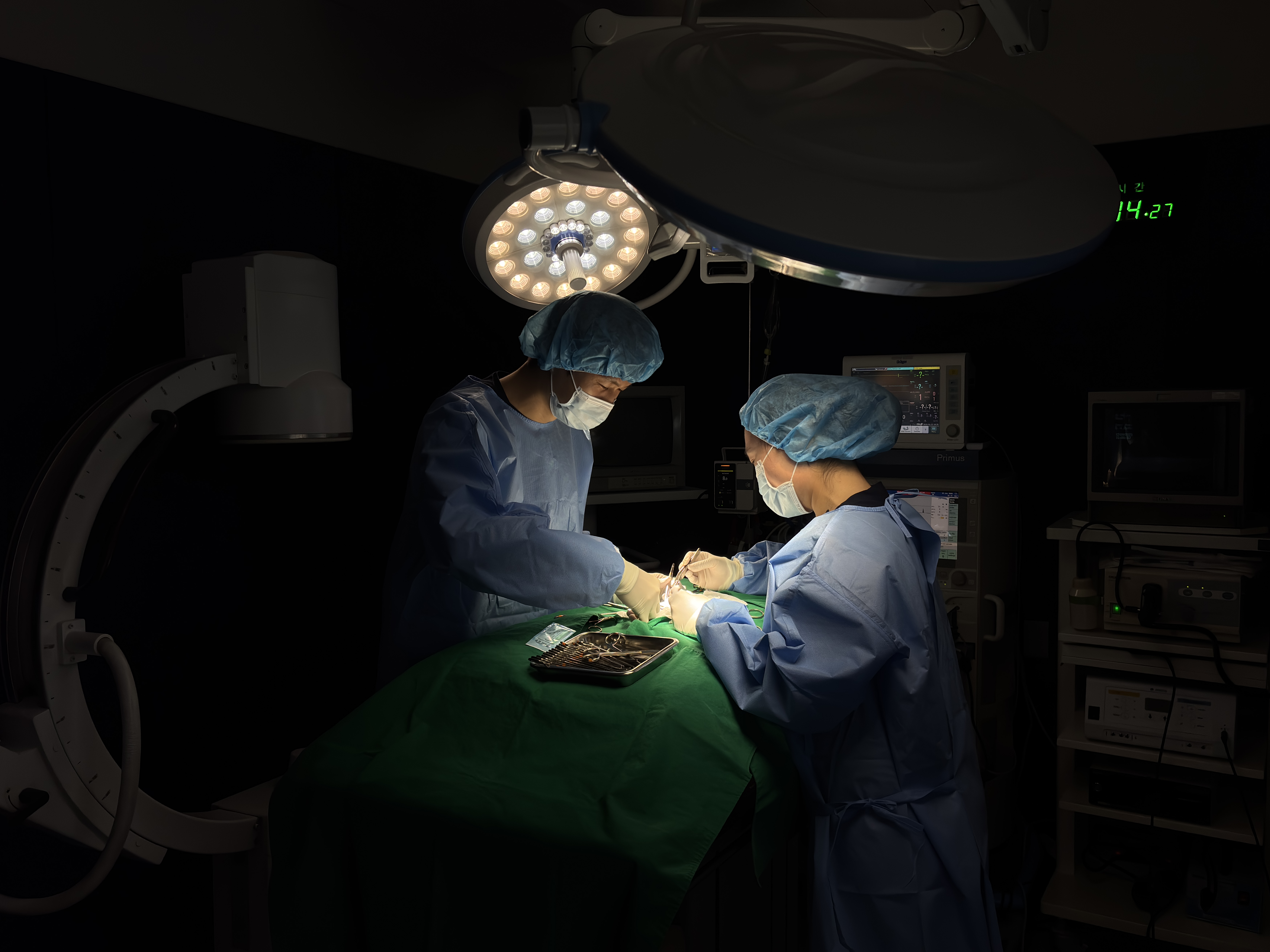 동물병원산책 대표 이미지