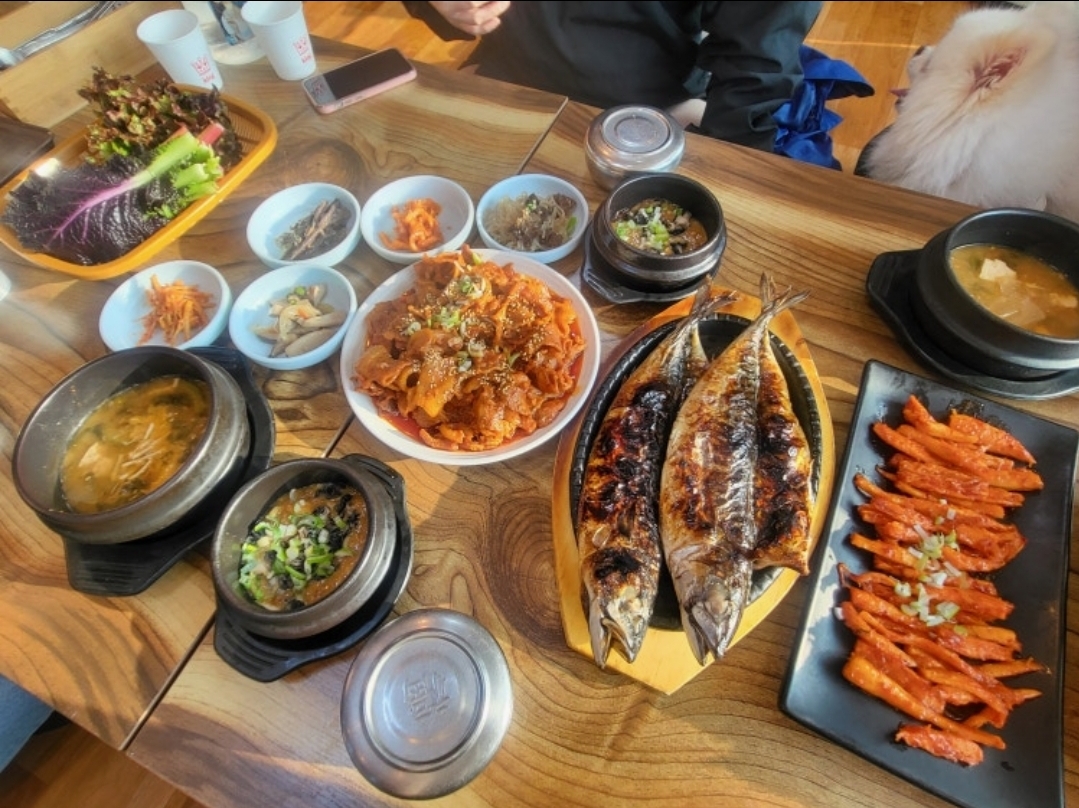 마장호수가든 반려동물 동반 애견카페