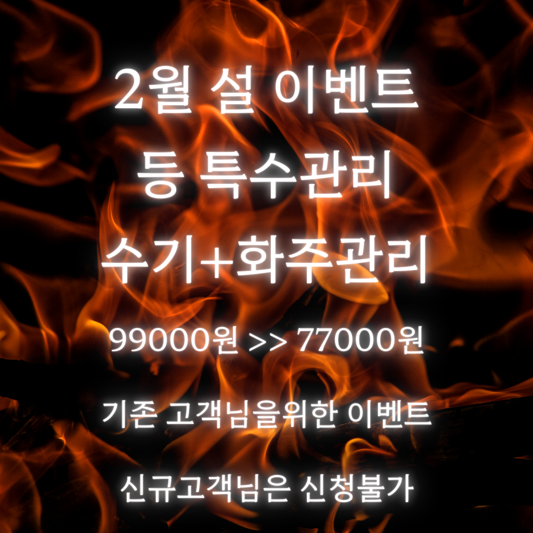 종암동JS뷰티 photo 5