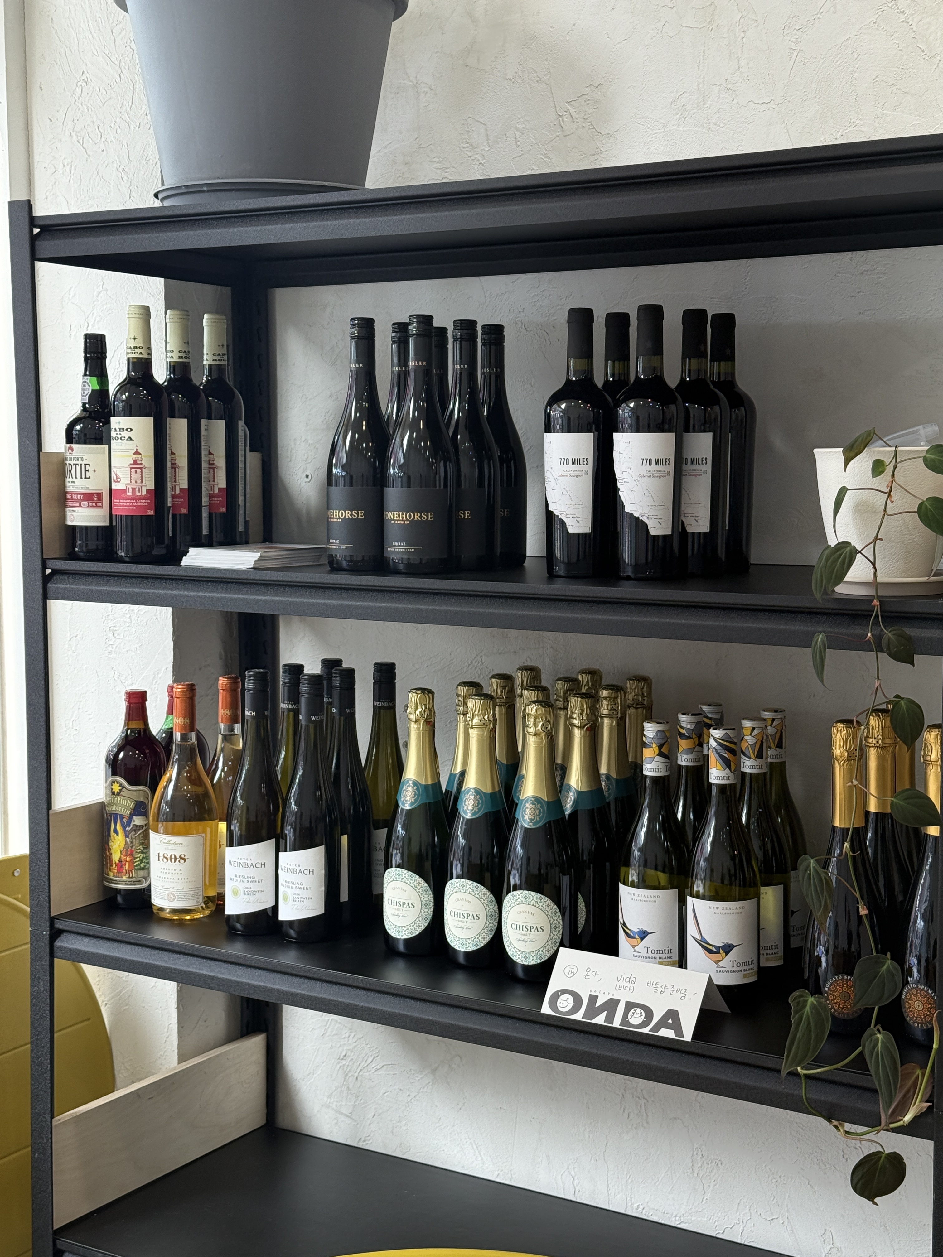 온다젤라또 안산고잔점