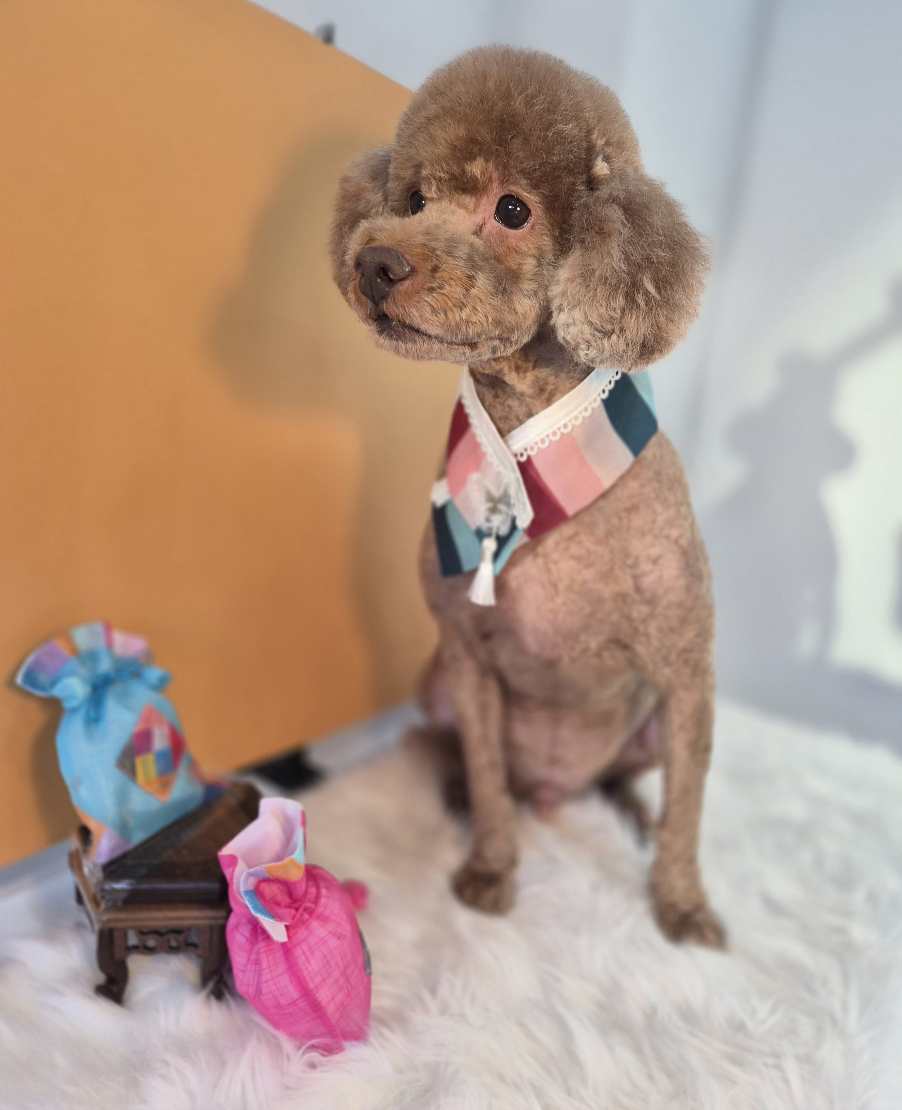 또비네 목욕탕 대표 이미지