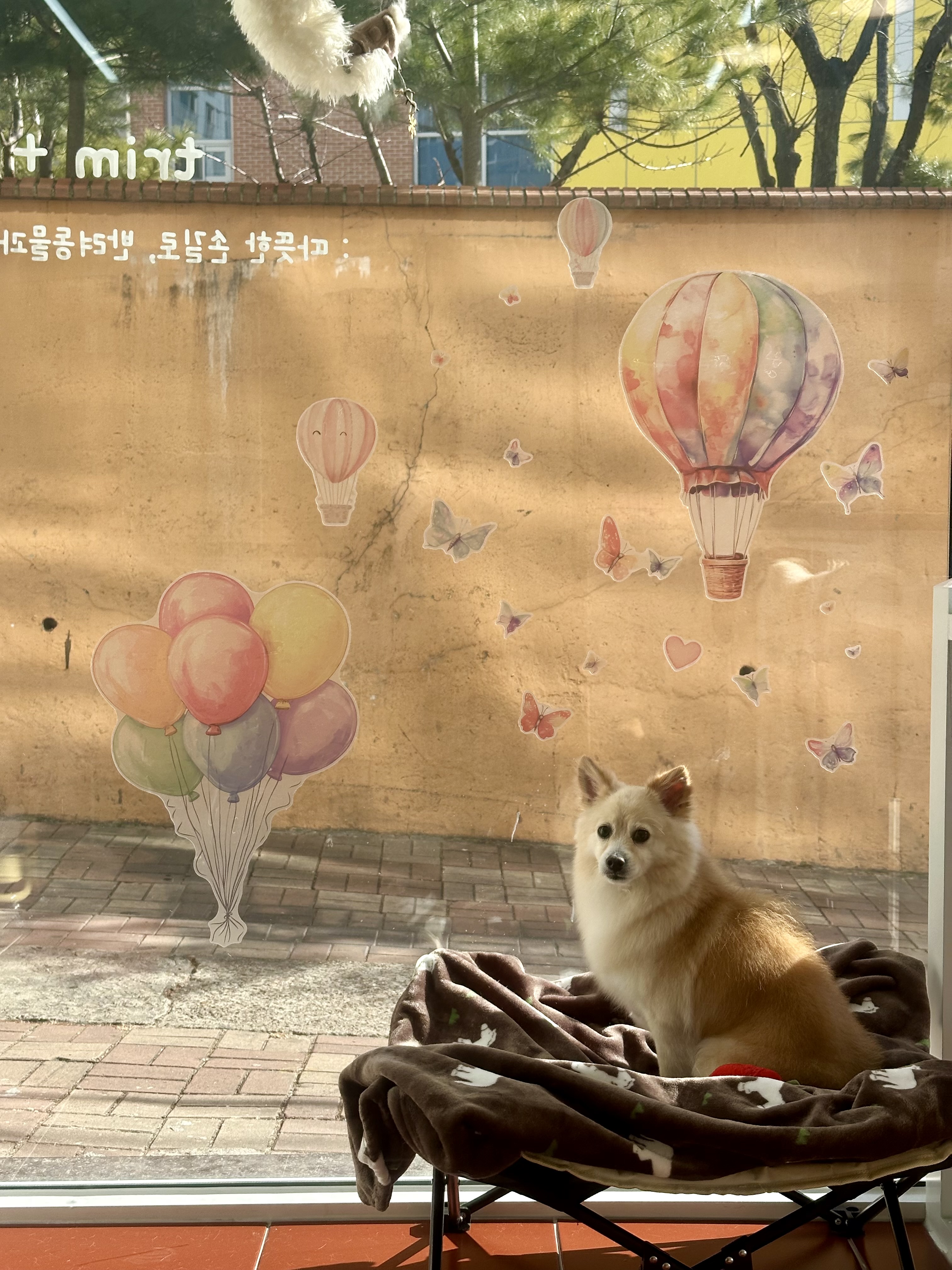 트리밍글 대표 이미지