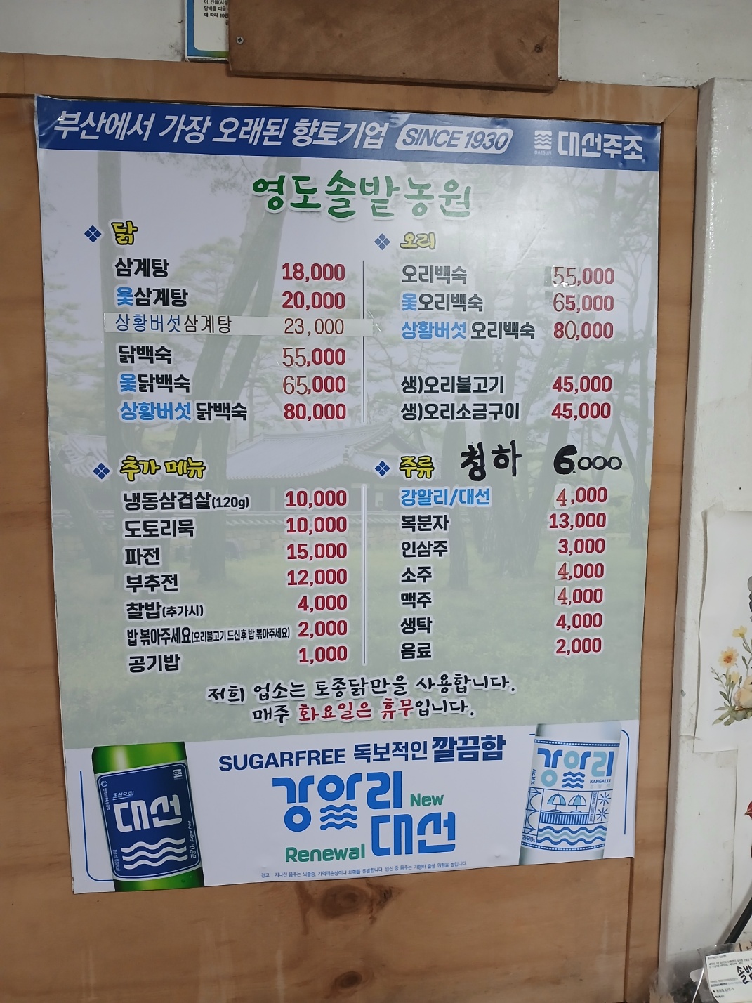 영도솔밭농원 반려동물 동반 애견카페