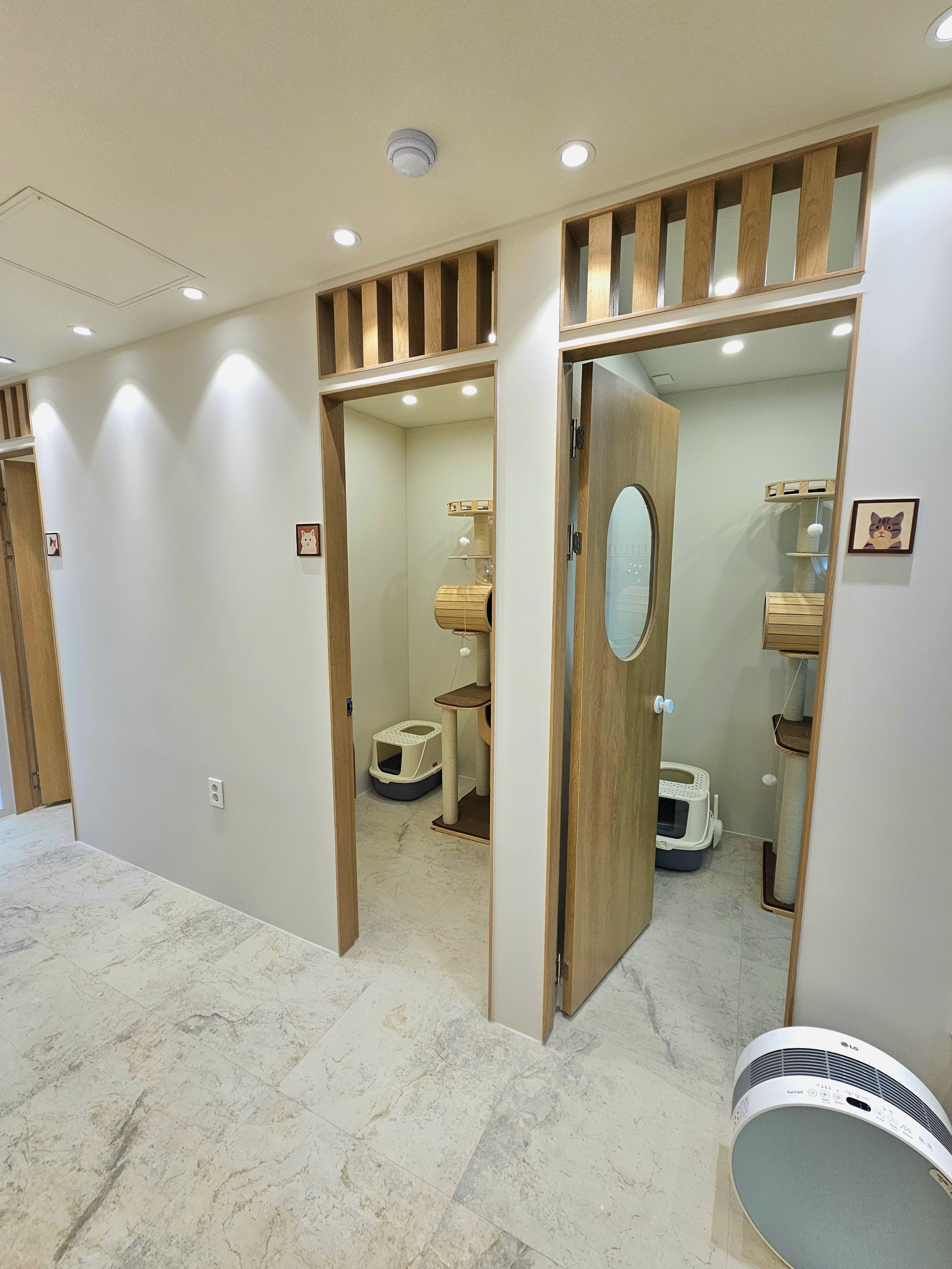 냥바라기 대표 이미지