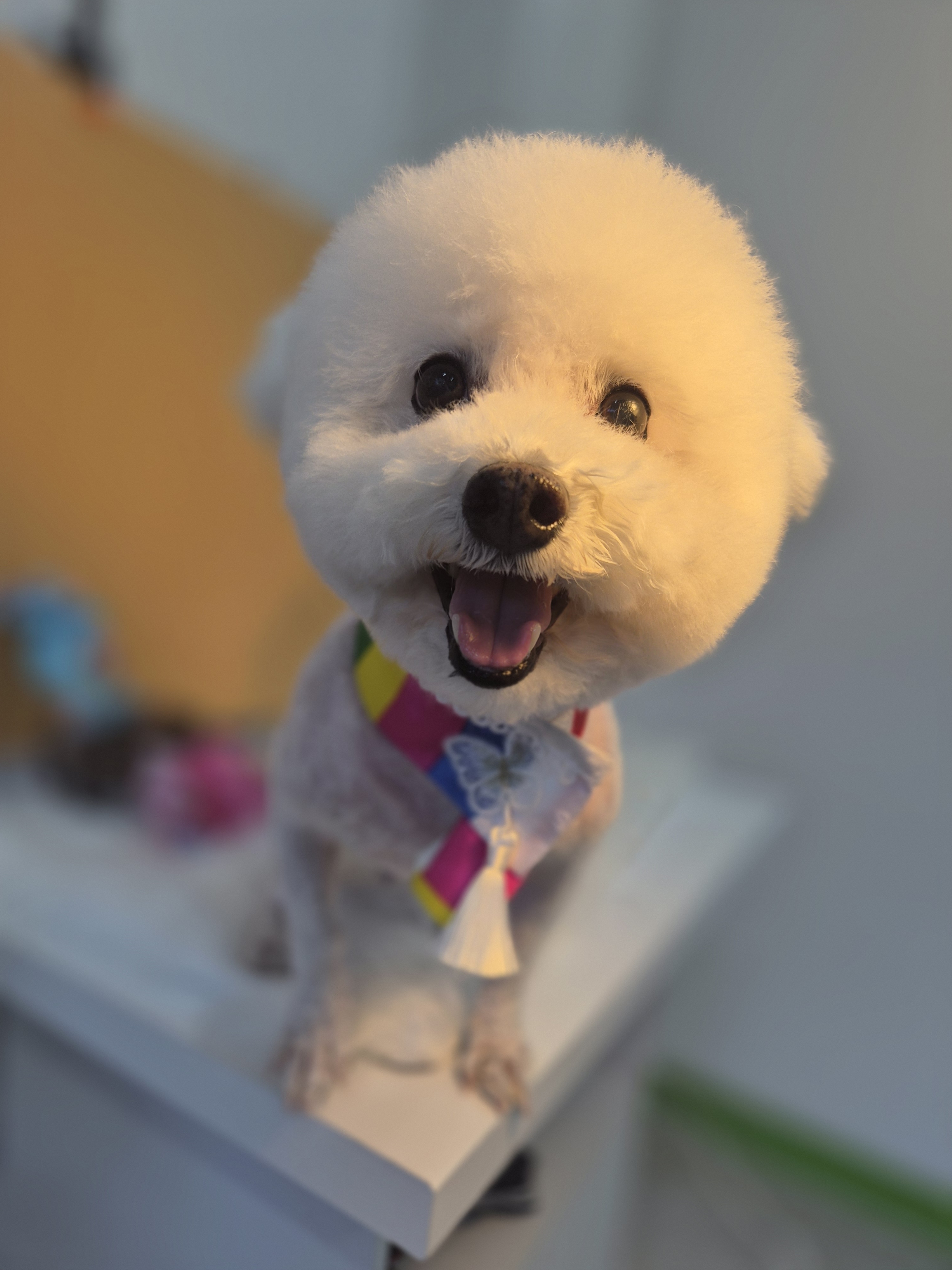 또비네 목욕탕 대표 이미지