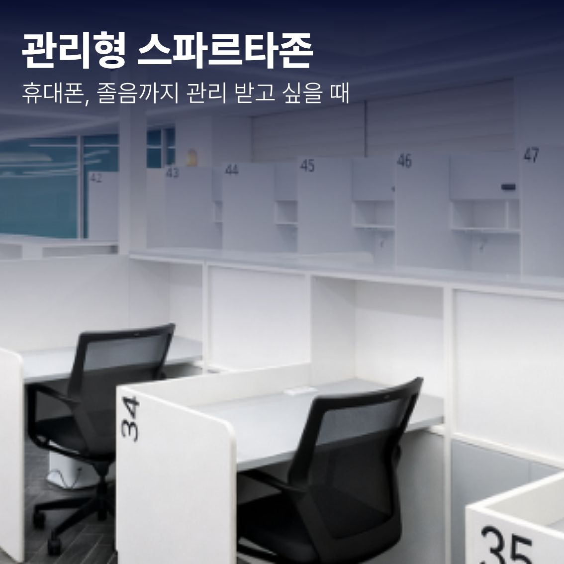 업체사진