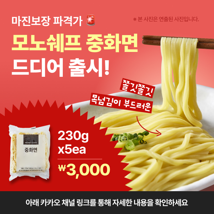 모노캠프 용인시 애견맛집