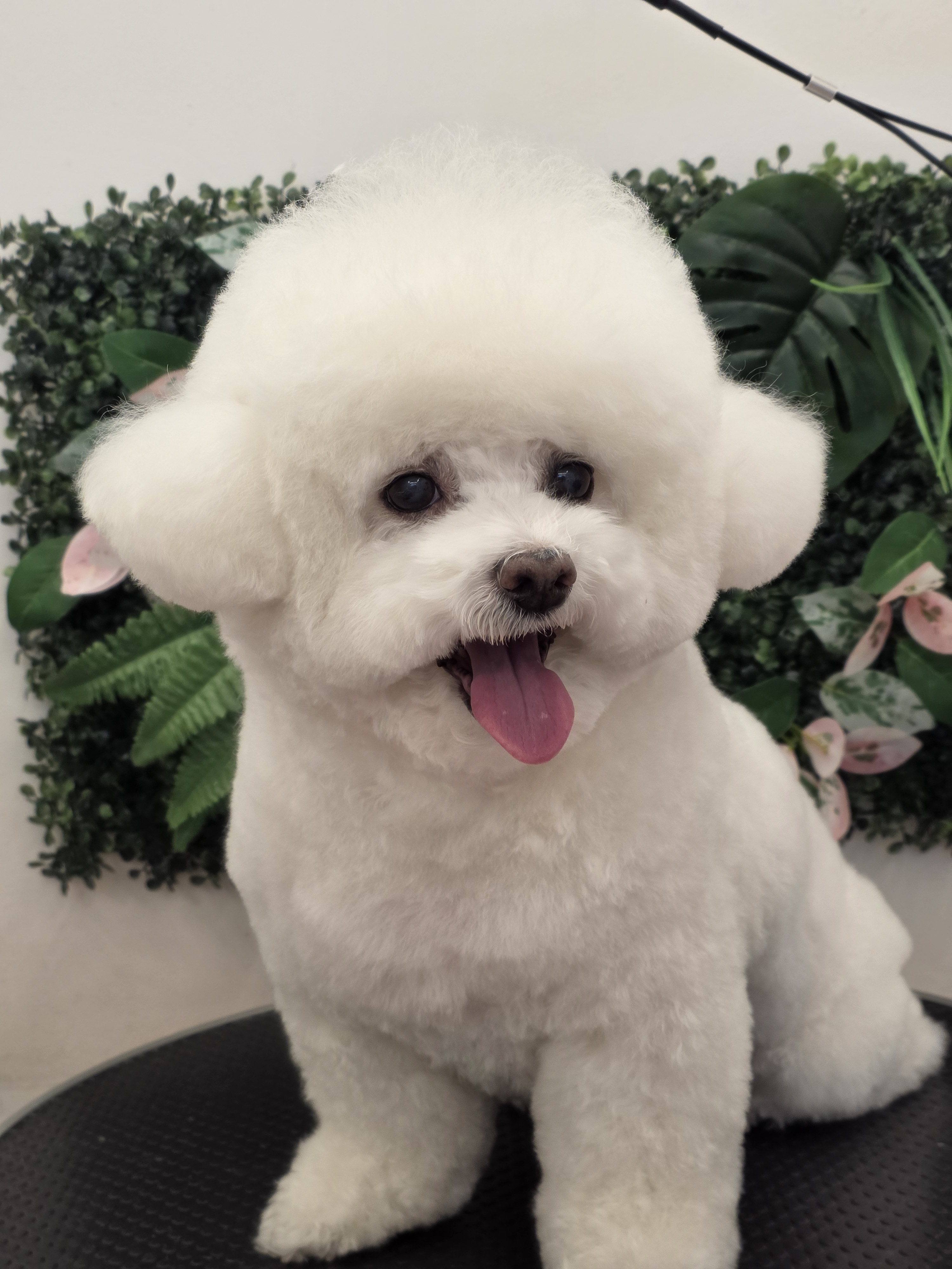 그루밍140 대표 이미지