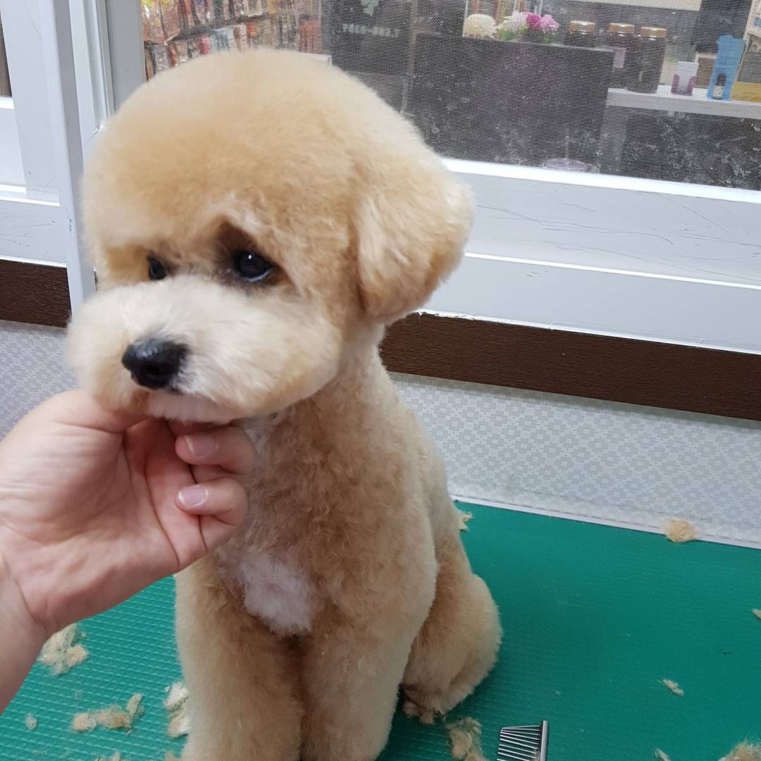 사진 4