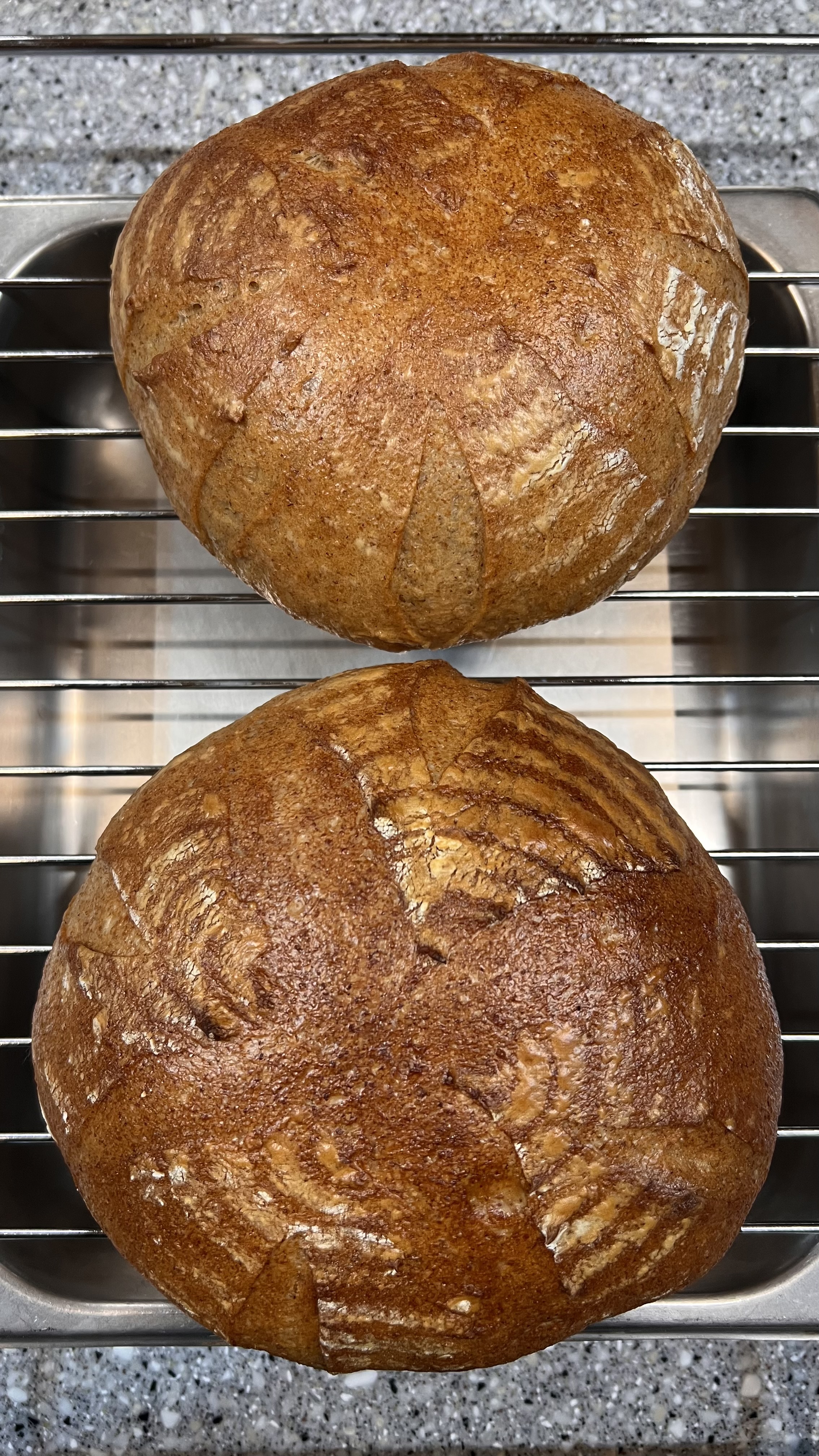 카페 이밤 헤스티아