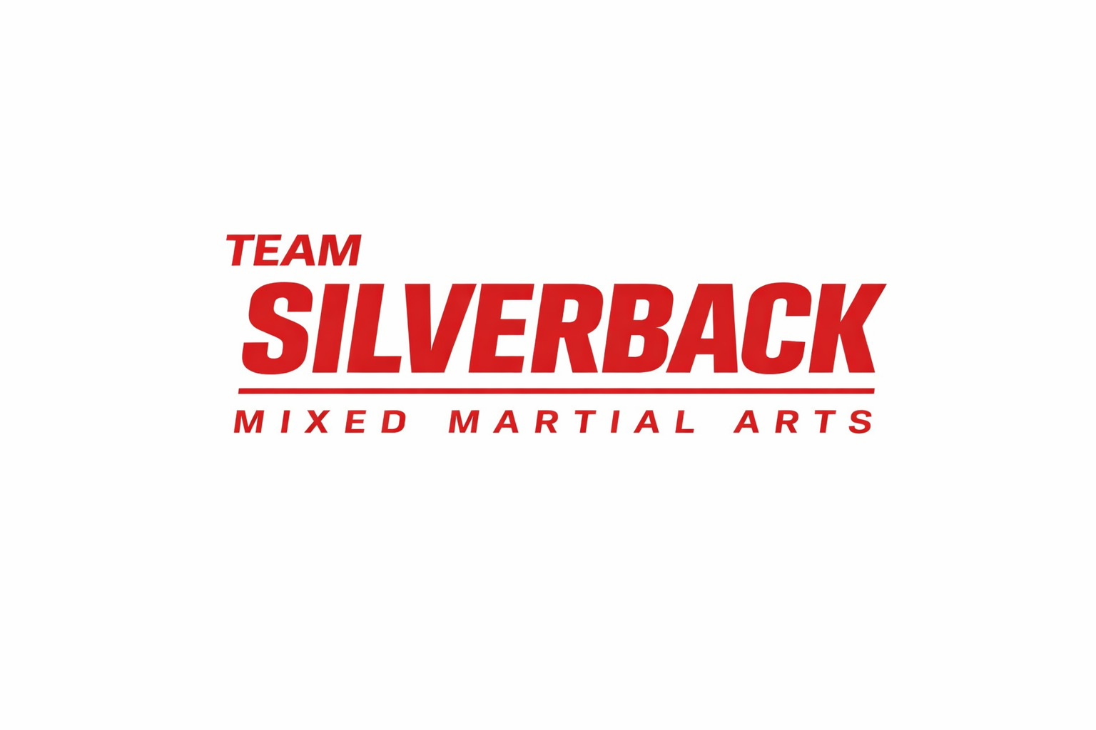 경기도 여주시 여양로 복싱체육관 팀 실버백 MMA 내부 모습 4