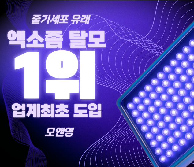 모앤영 신촌점 대표 이미지