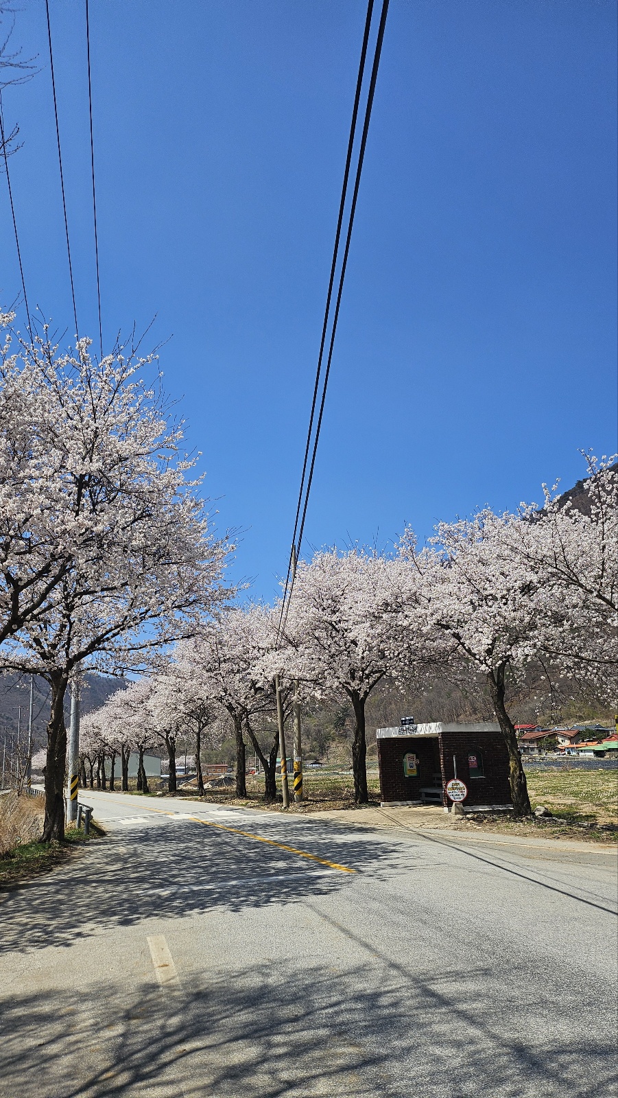 월악파머스 캠핑장