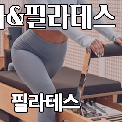 데일리