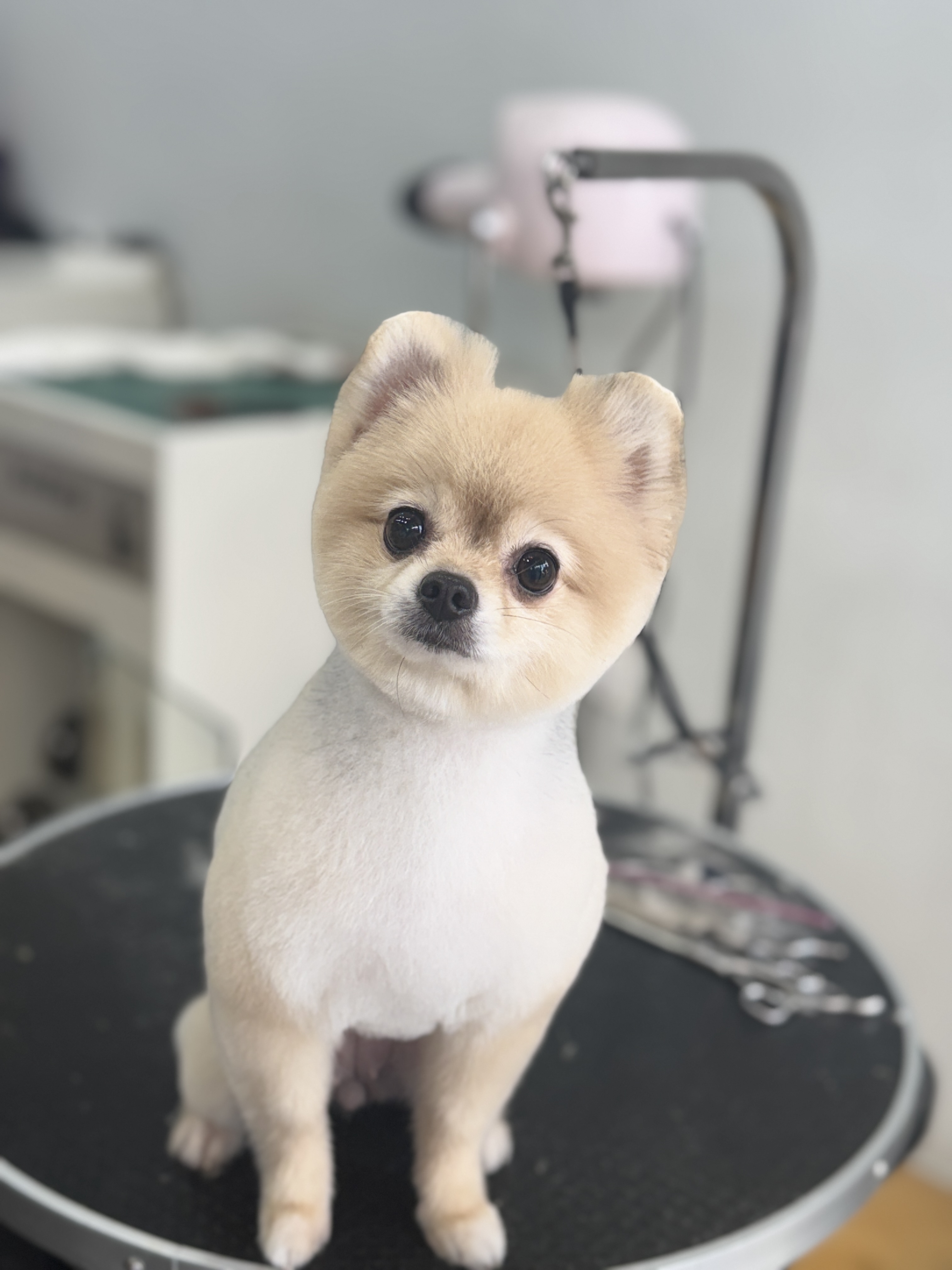 트리밍박스 대표 이미지