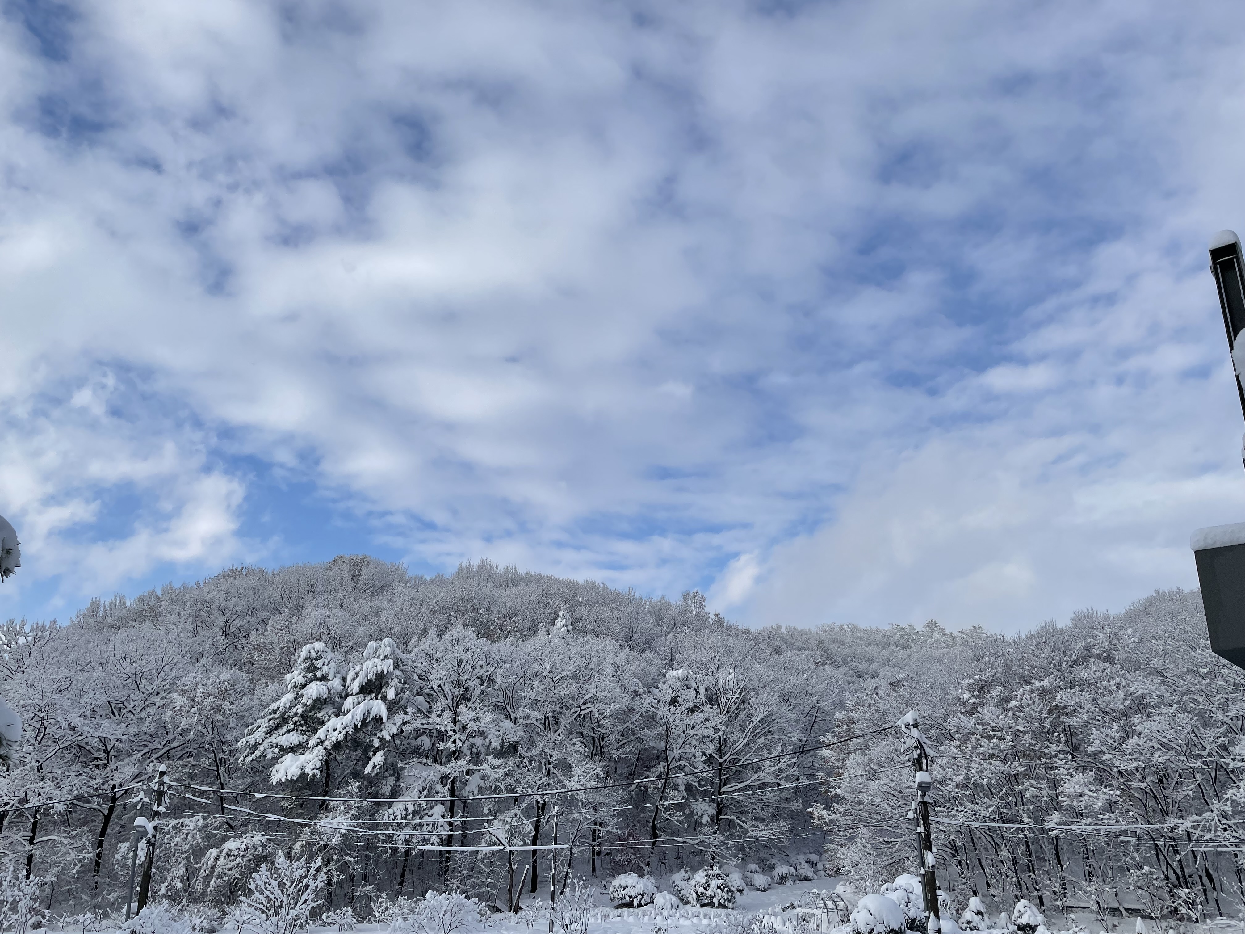 산골수목원 대표 이미지