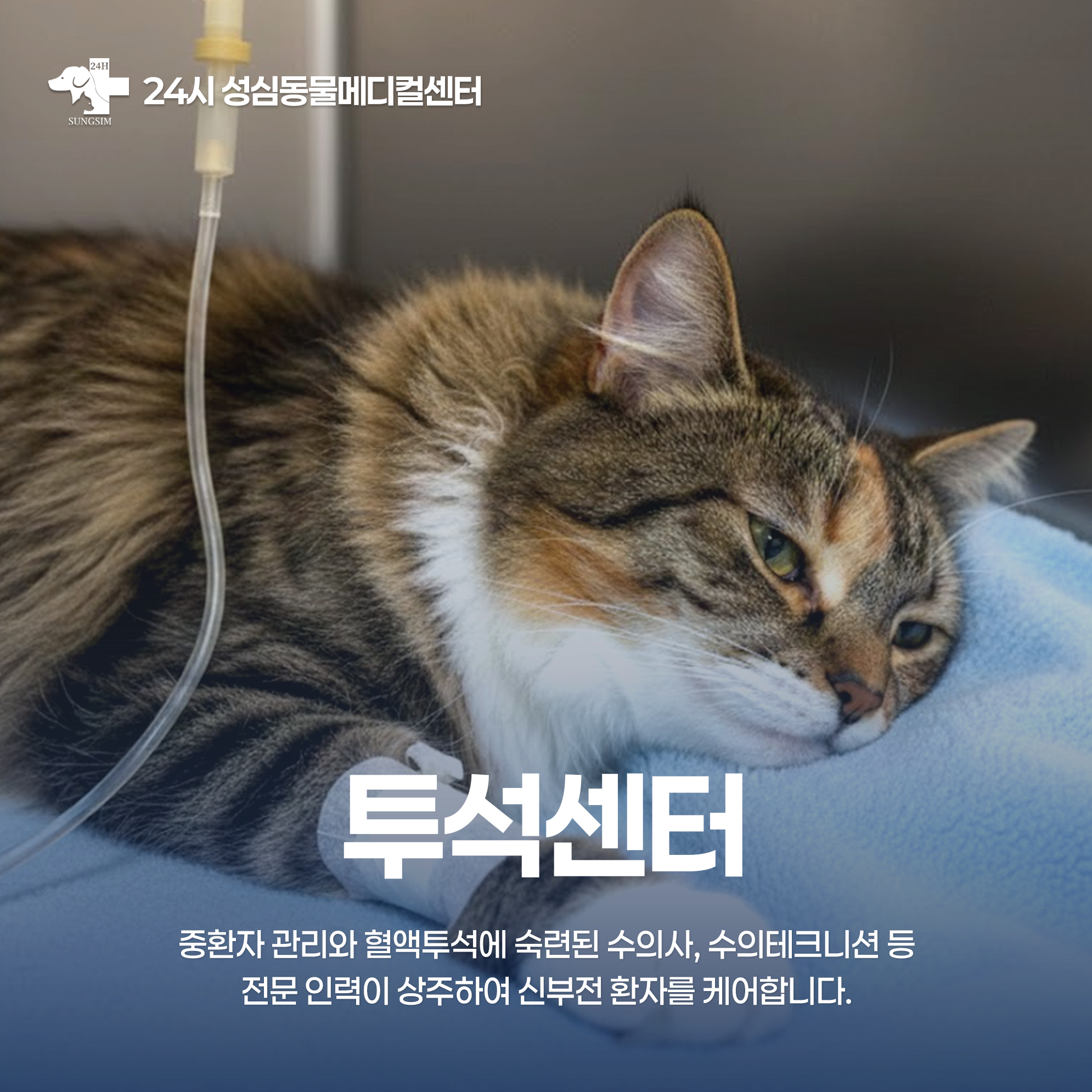 24시 바른펫 동물의료센터 2