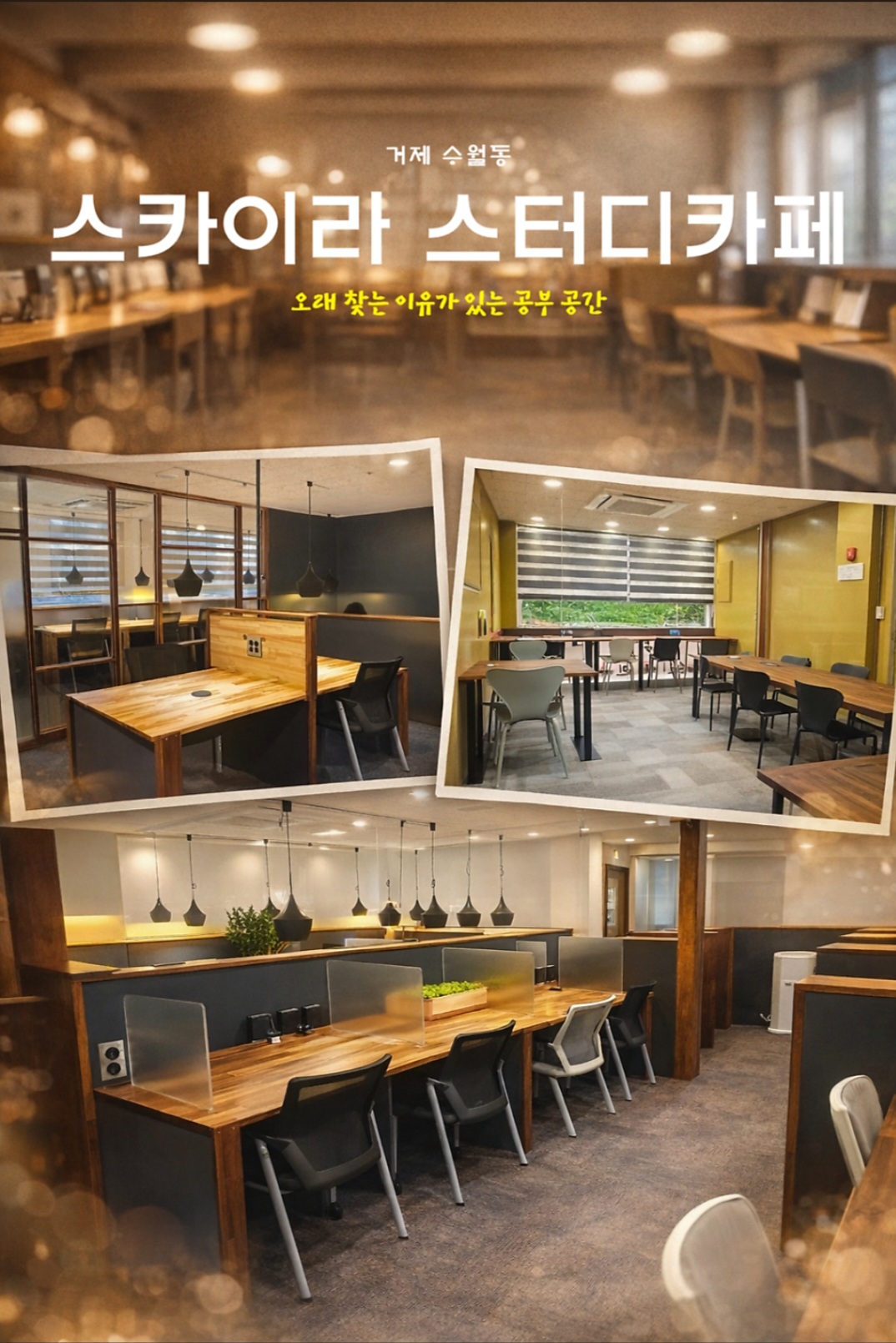 업체사진