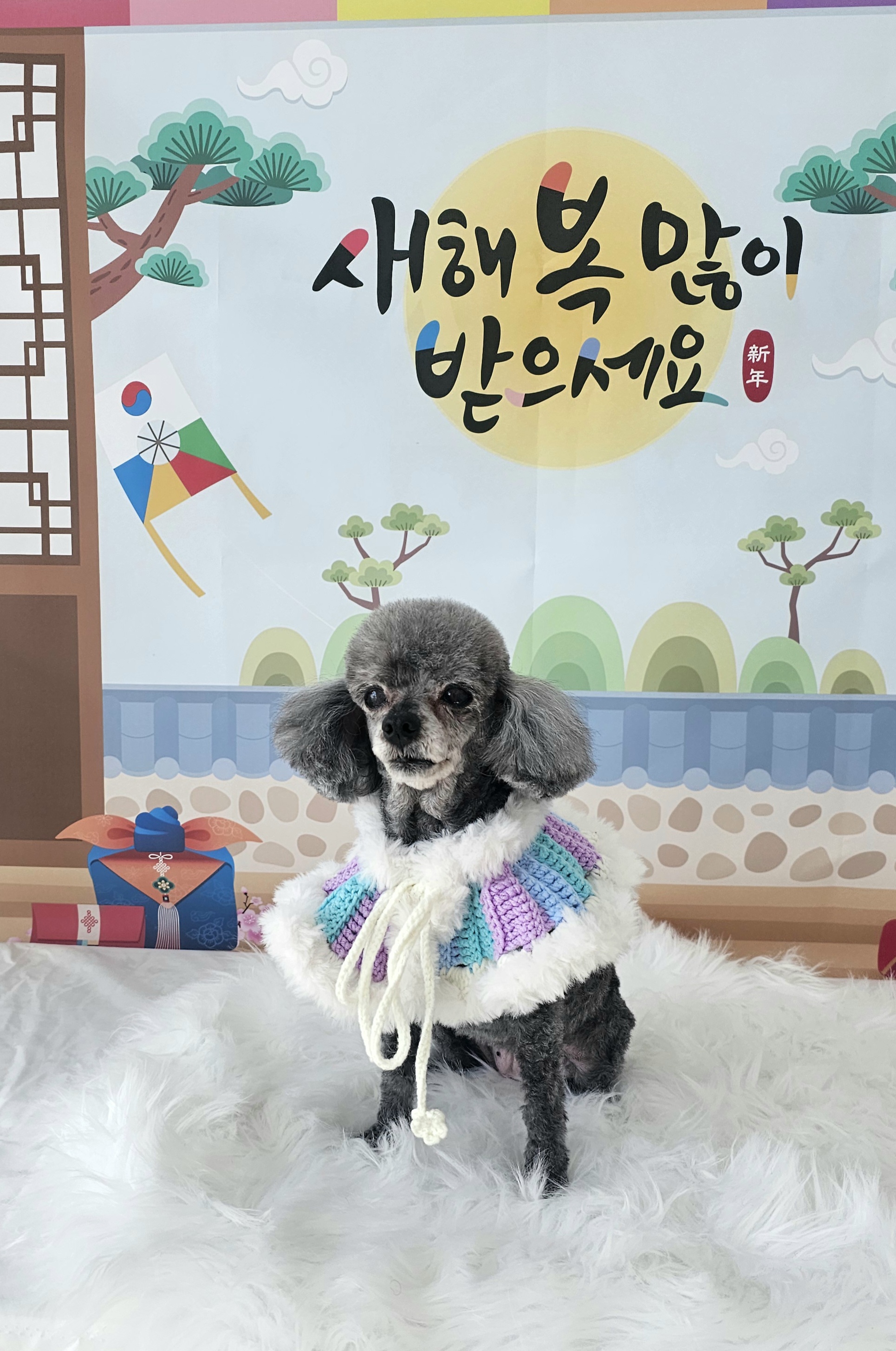 탄벌댕댕 대표 이미지