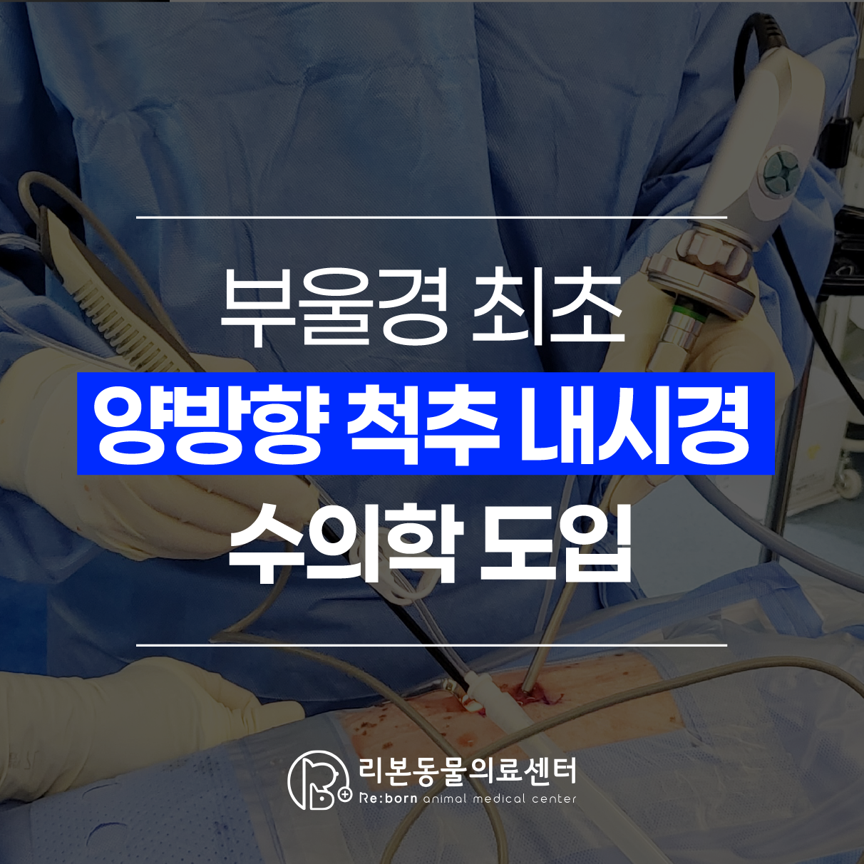 24시 리본동물의료센터 대표 이미지