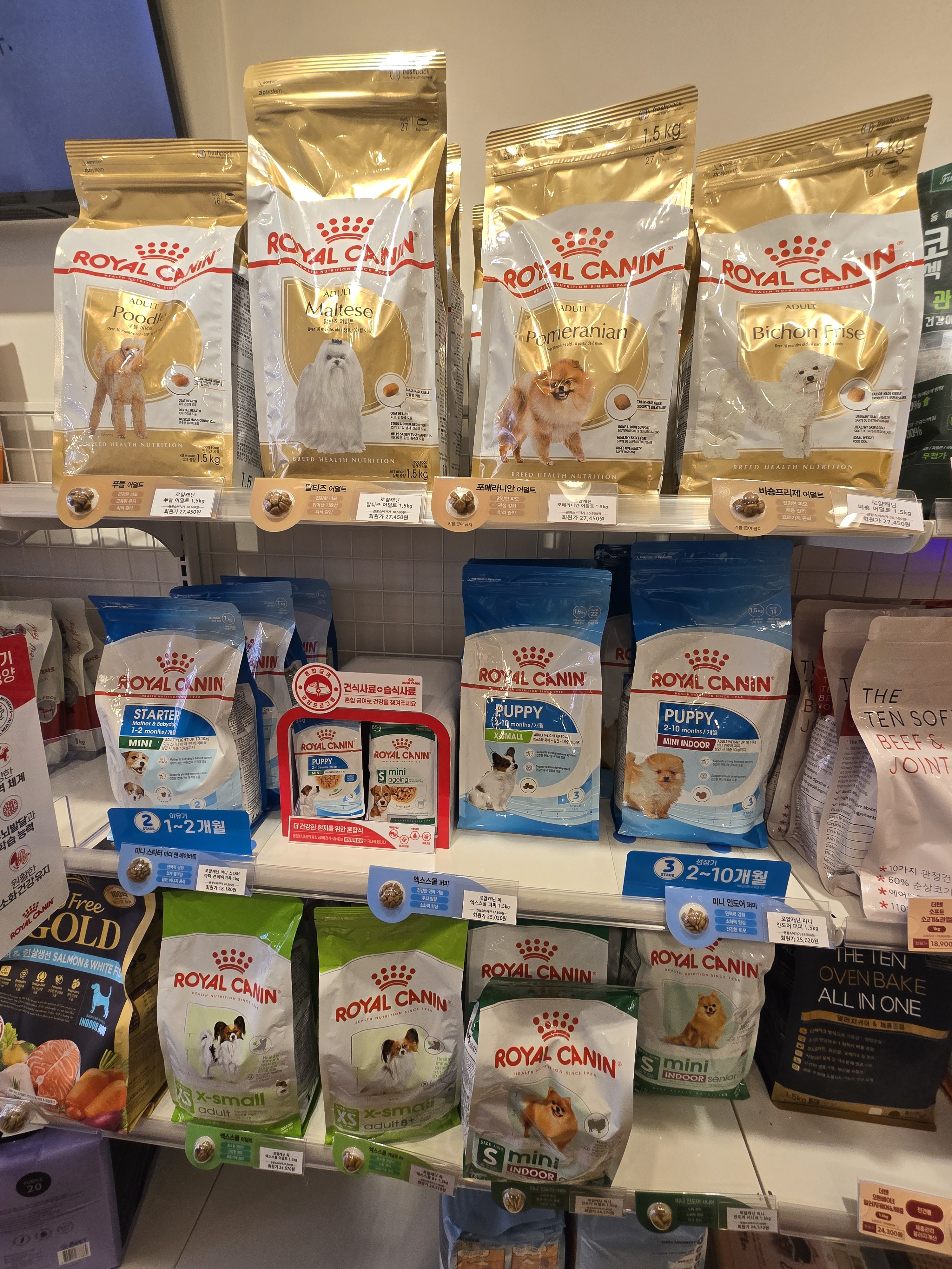 견생냥품 대전관저동점 이미지