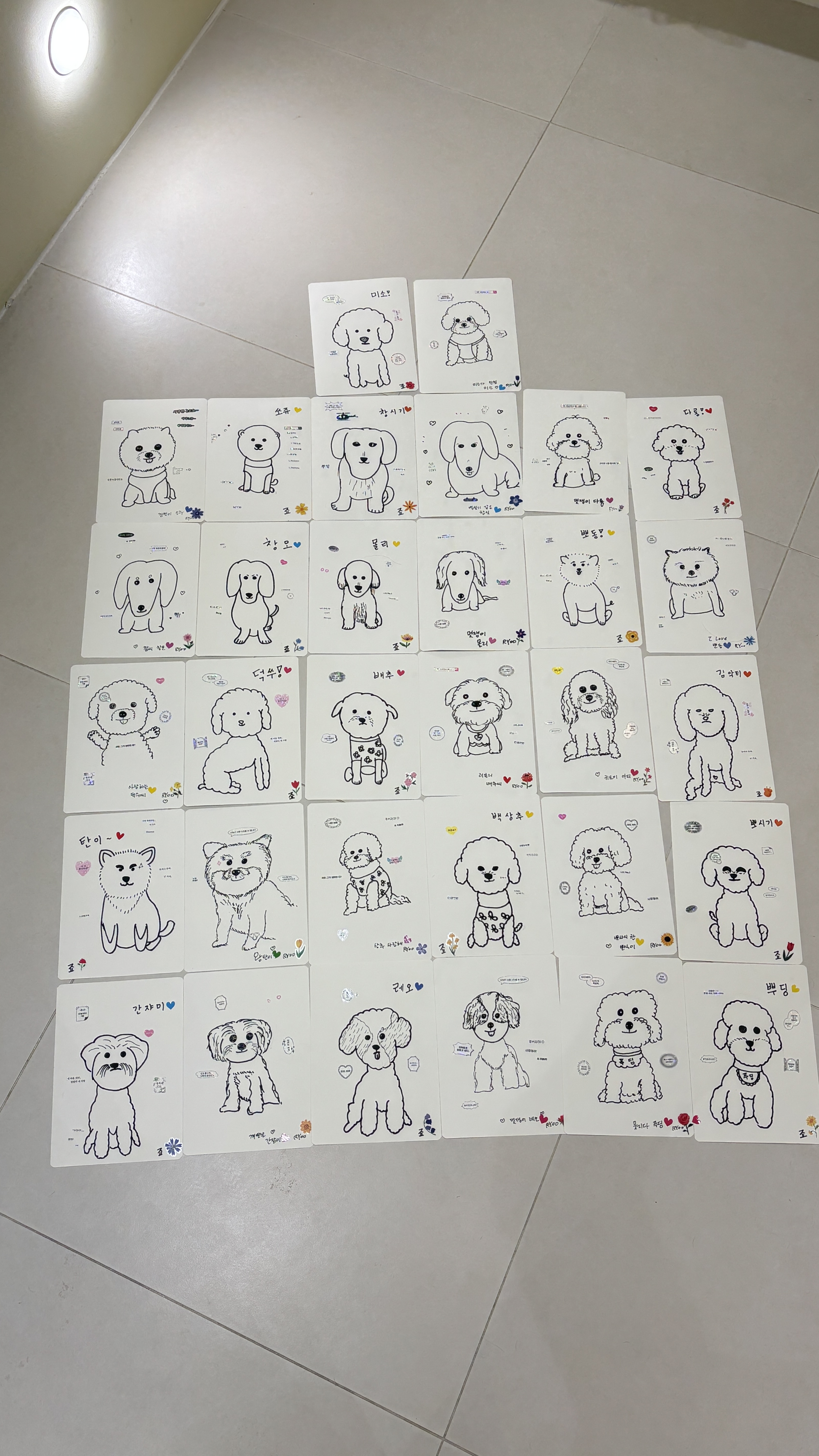 오비오 창원펫빌리지점 경상 애견카페