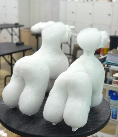 더아트펫애견미용학원 대표 이미지