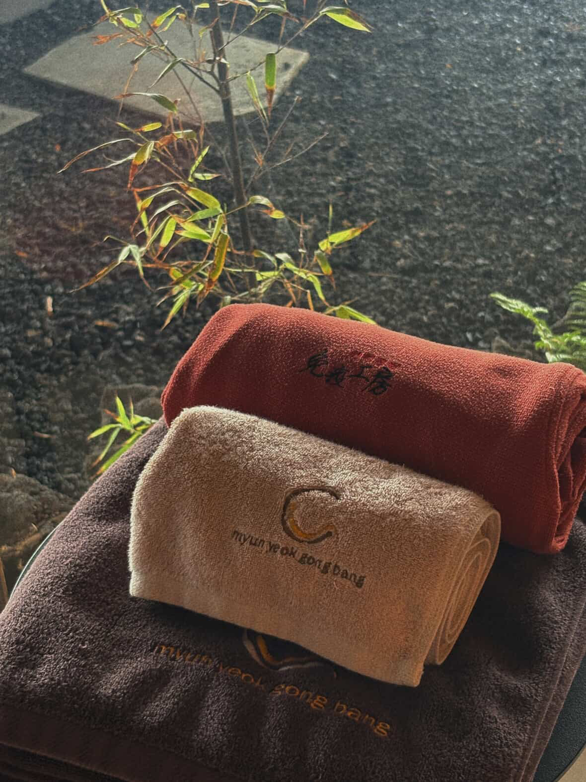 면역공방 제주점 photo 10