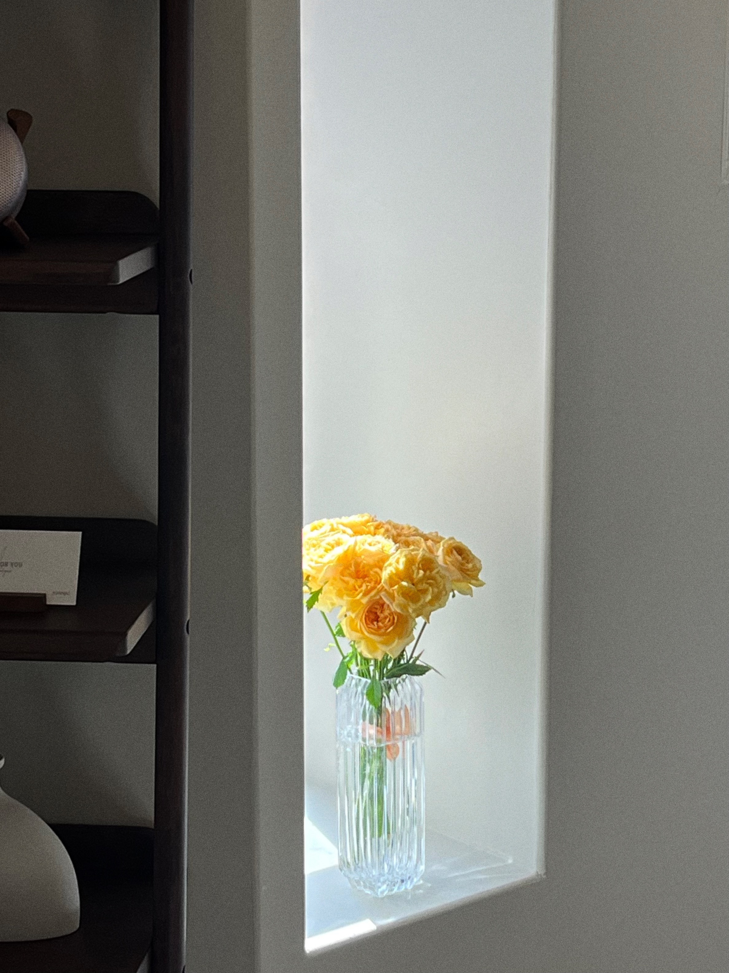 유스파 photo 6