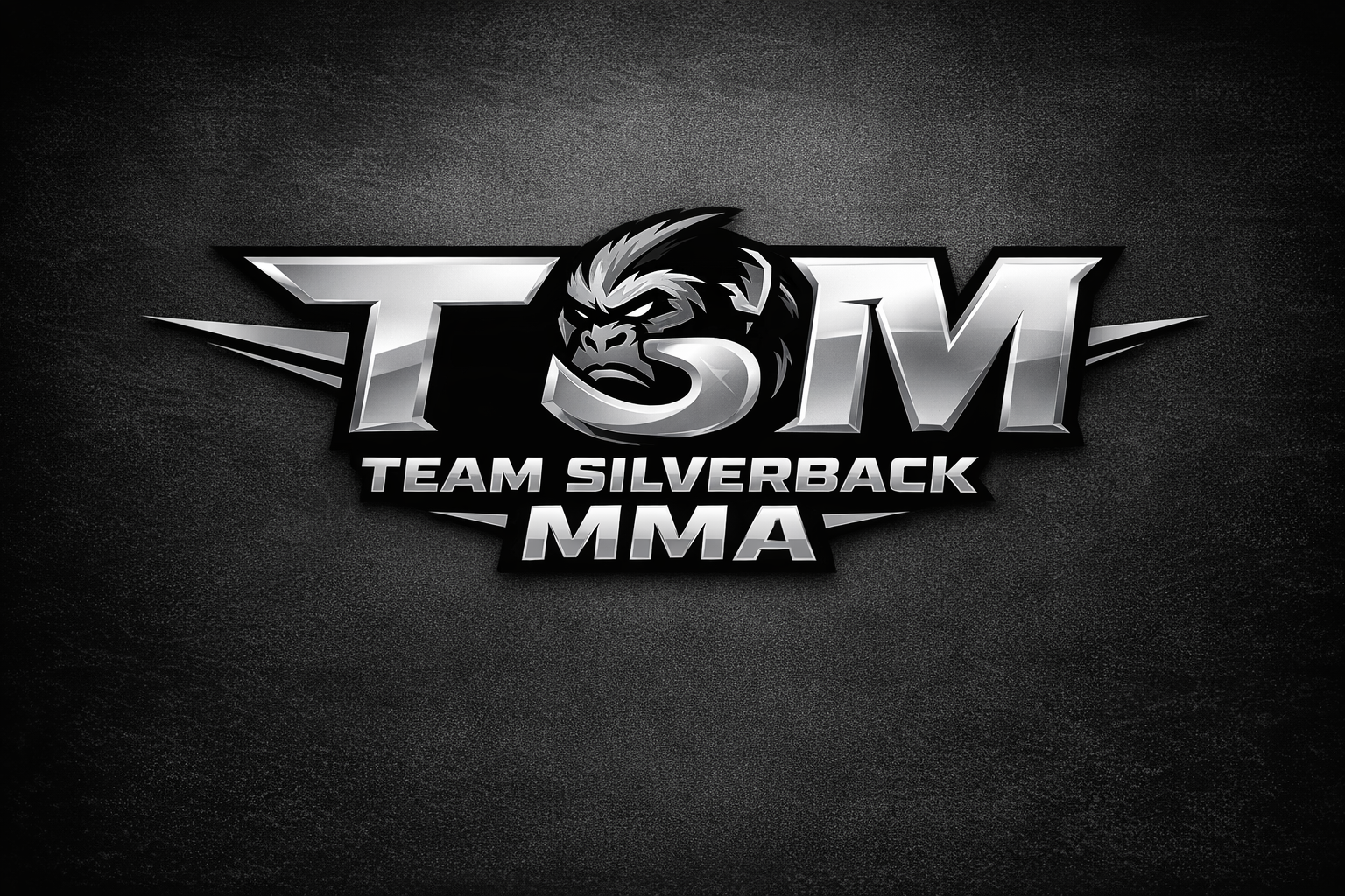 경기도 여주시 여양로 복싱체육관 팀 실버백 MMA 내부 모습 3
