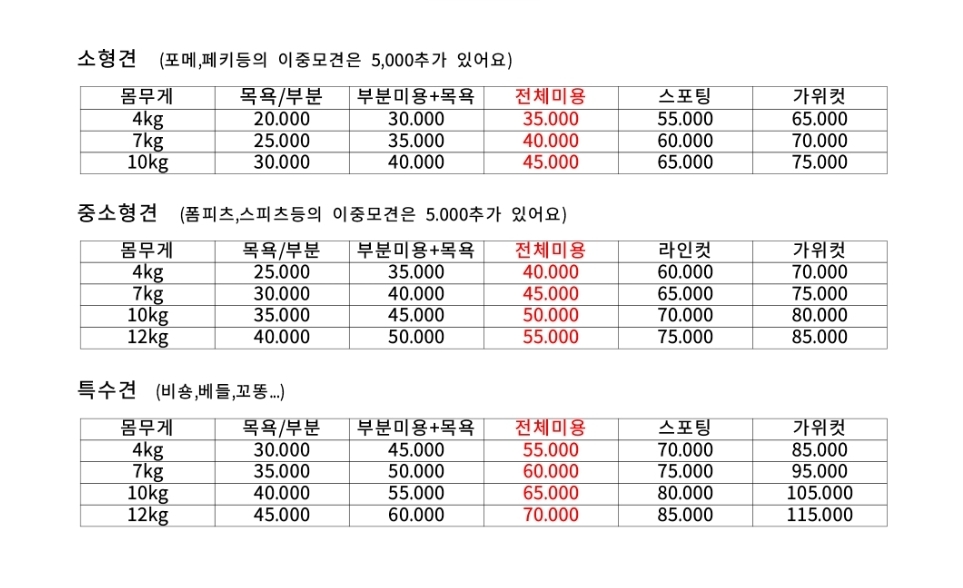 삐삐살롱 대표 이미지
