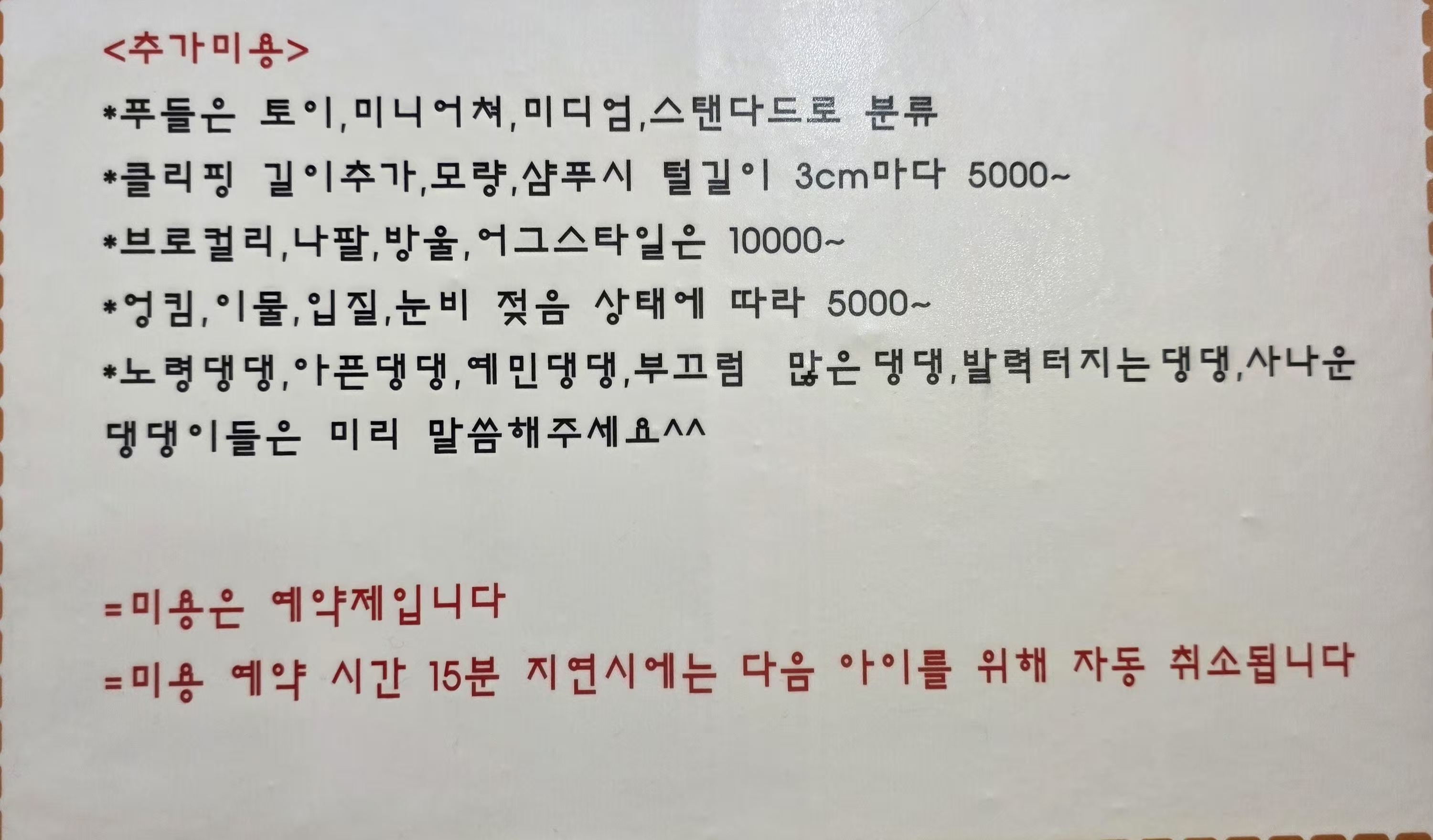 삐삐살롱 대표 이미지