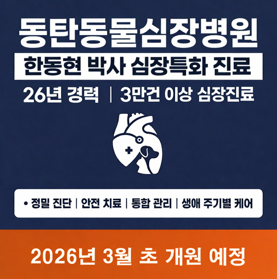 동탄동물심장병원 대표 이미지
