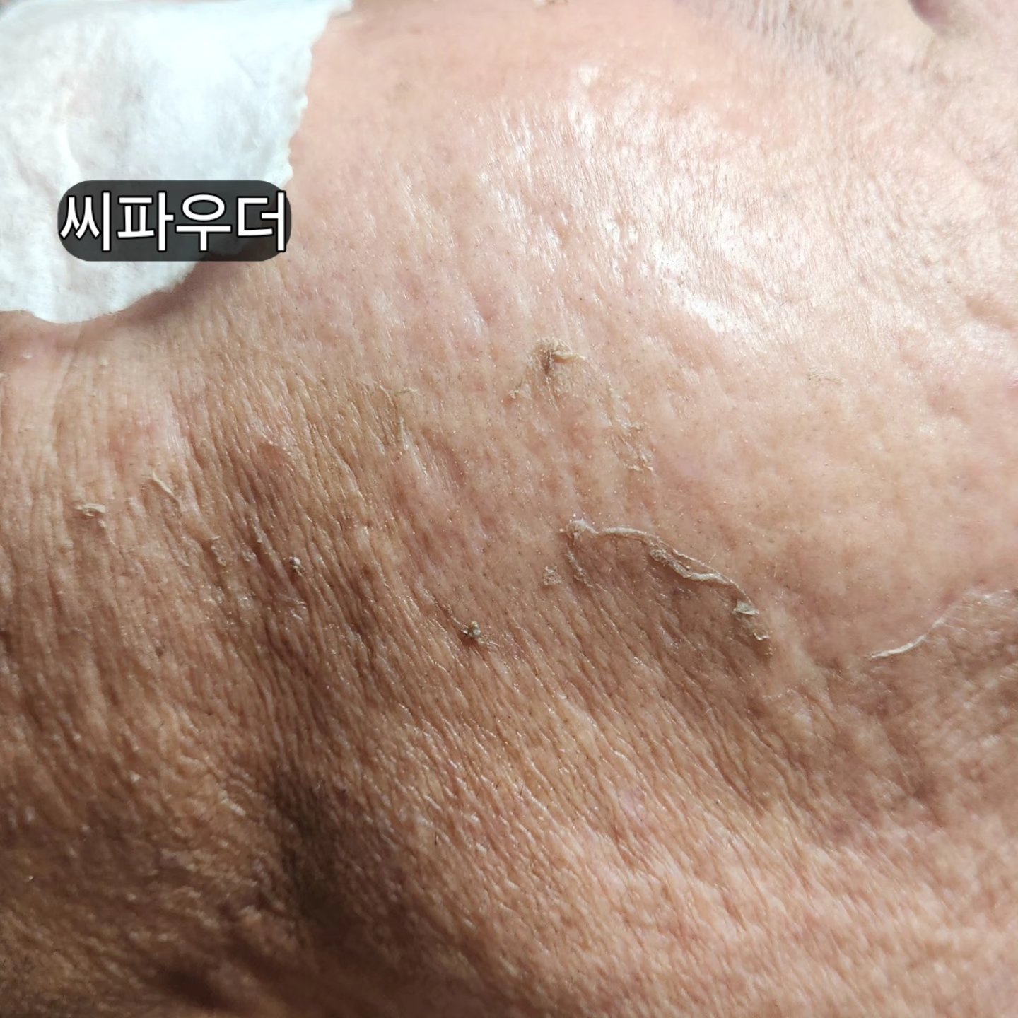 sj에스제이 파메스테틱 피부연구소 photo 4