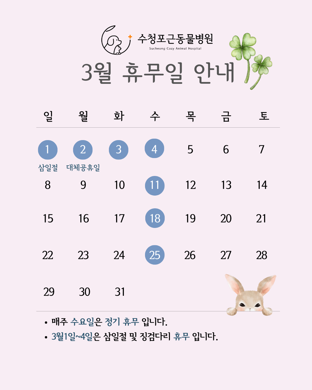 수청포근동물병원 이미지