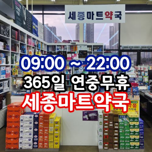 세종
