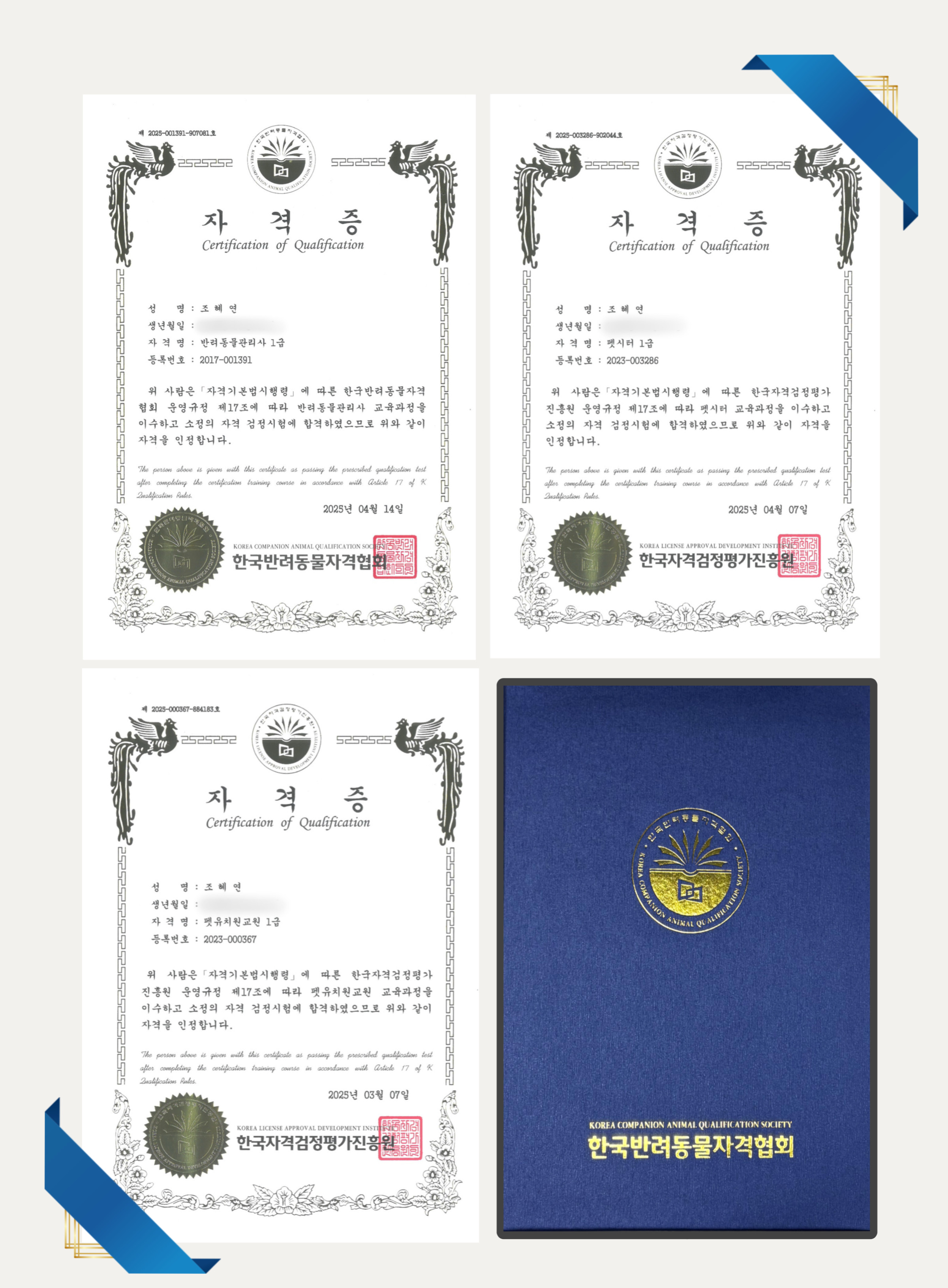 순애하멍 펫시터 대표 이미지