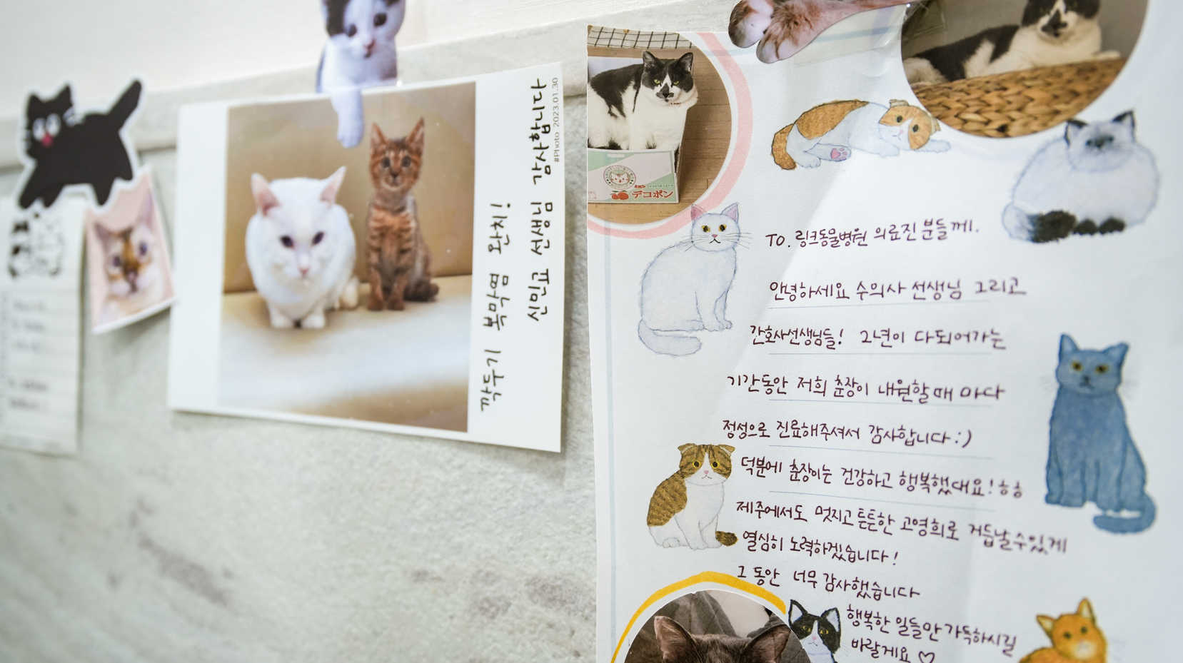 링크 동물의료센터 대표 이미지