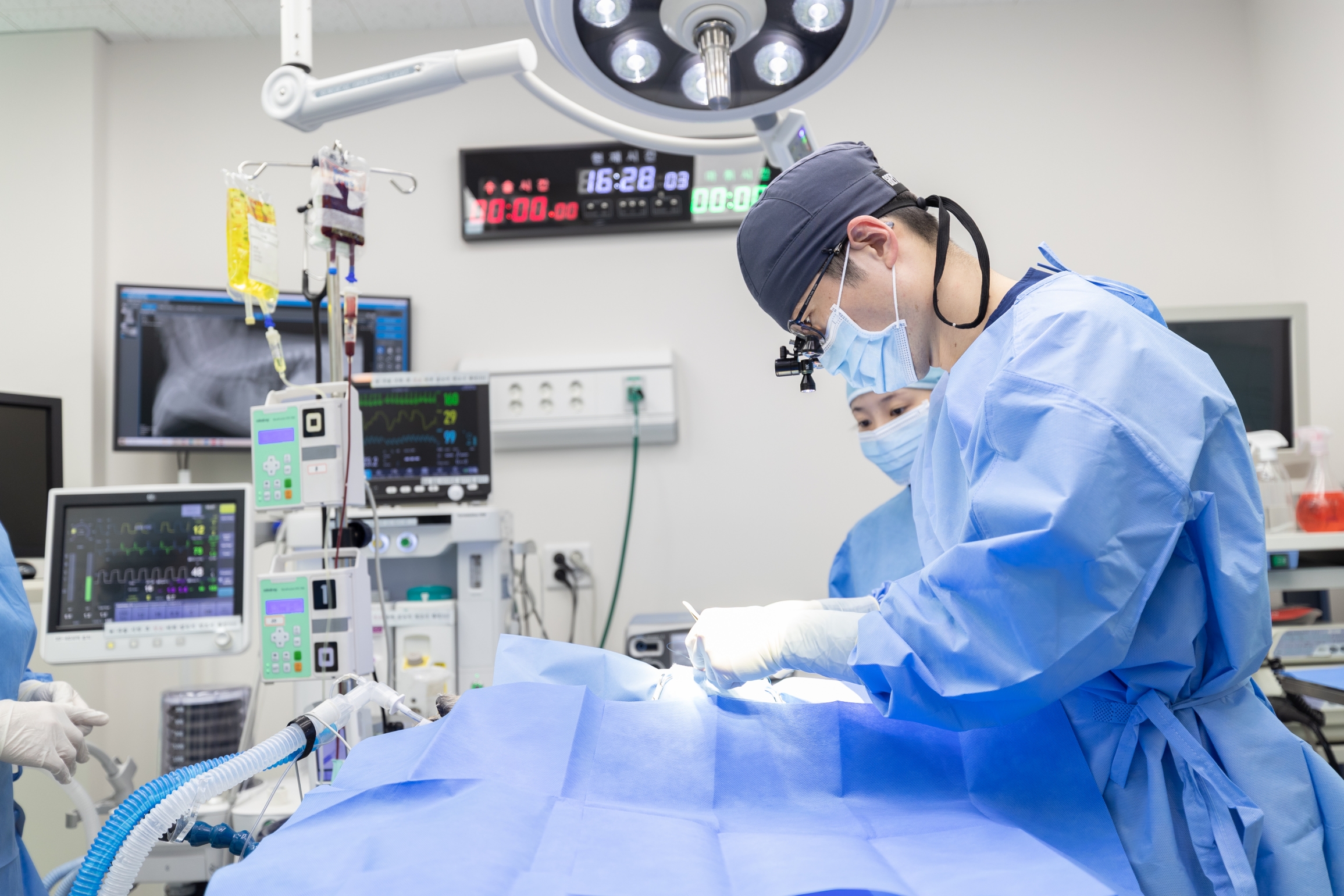 아프리카 동물의료센터 대표 이미지