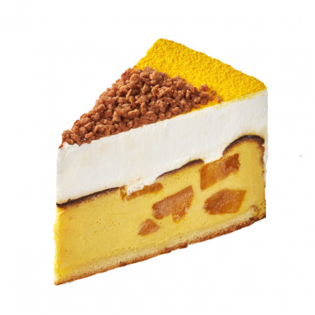비콩피
