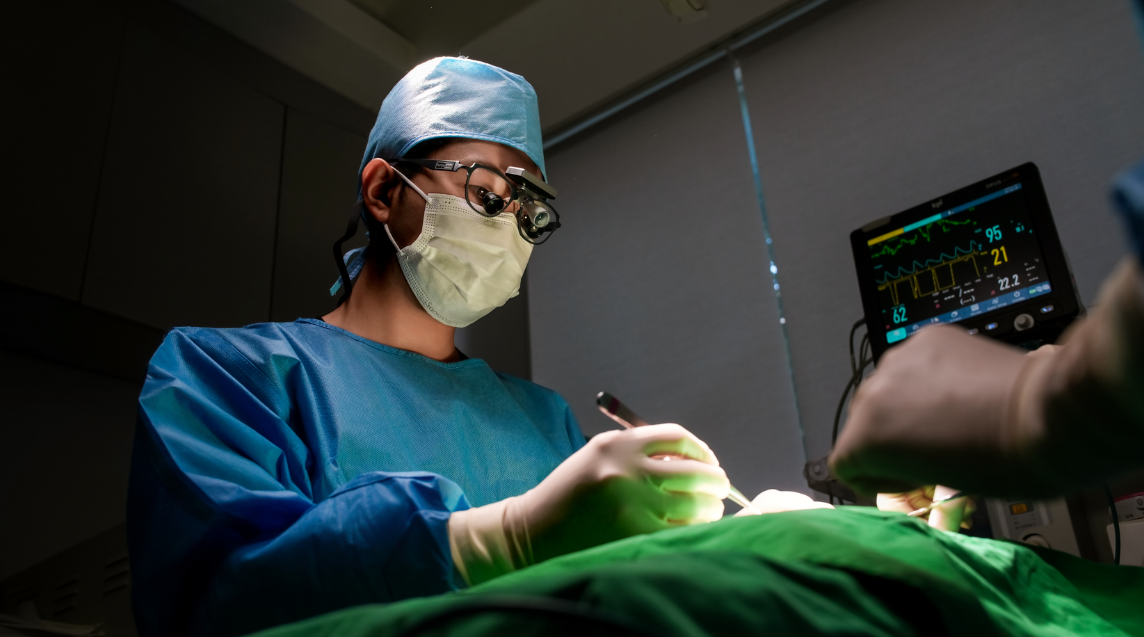 링크 동물의료센터 대표 이미지