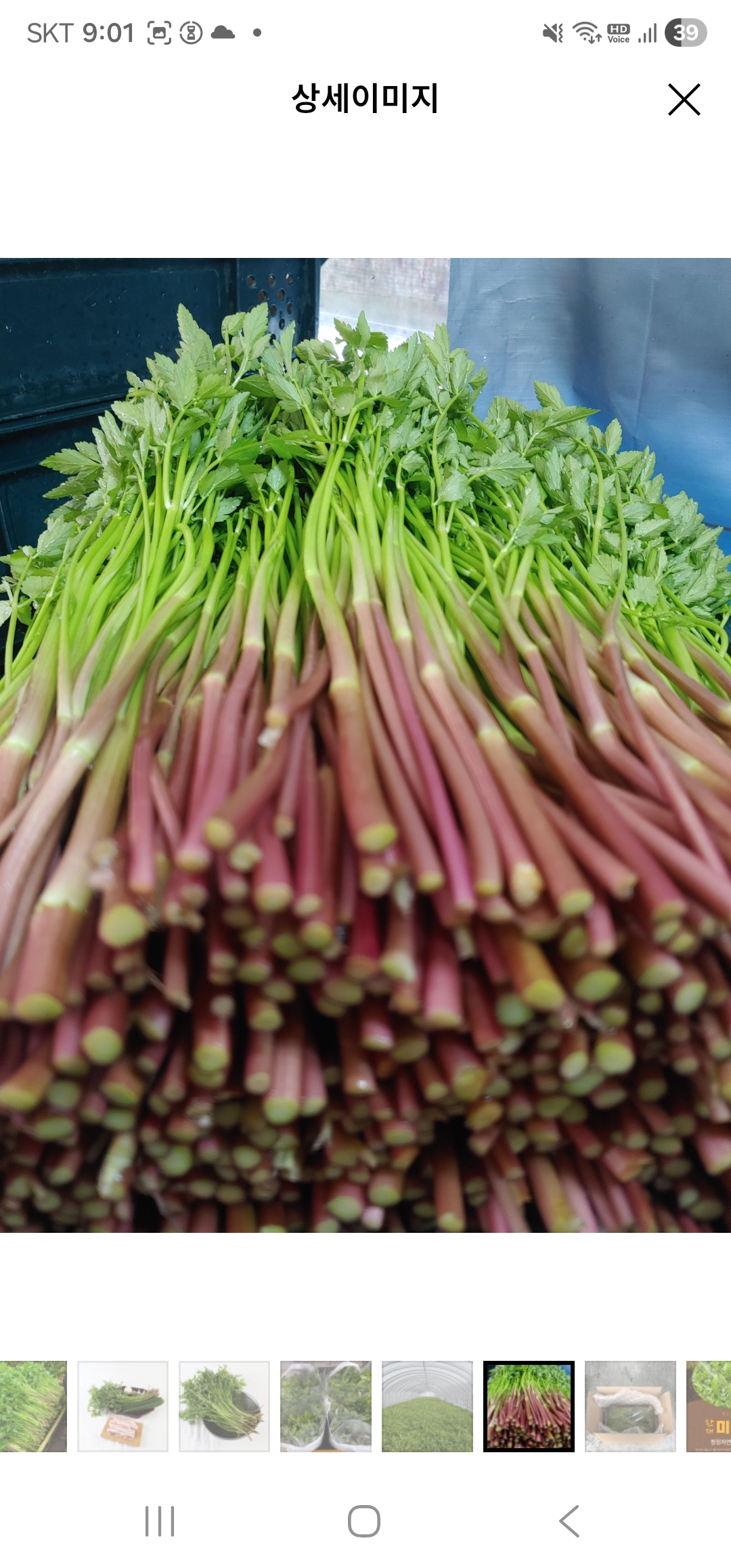 봄결 들안길본점