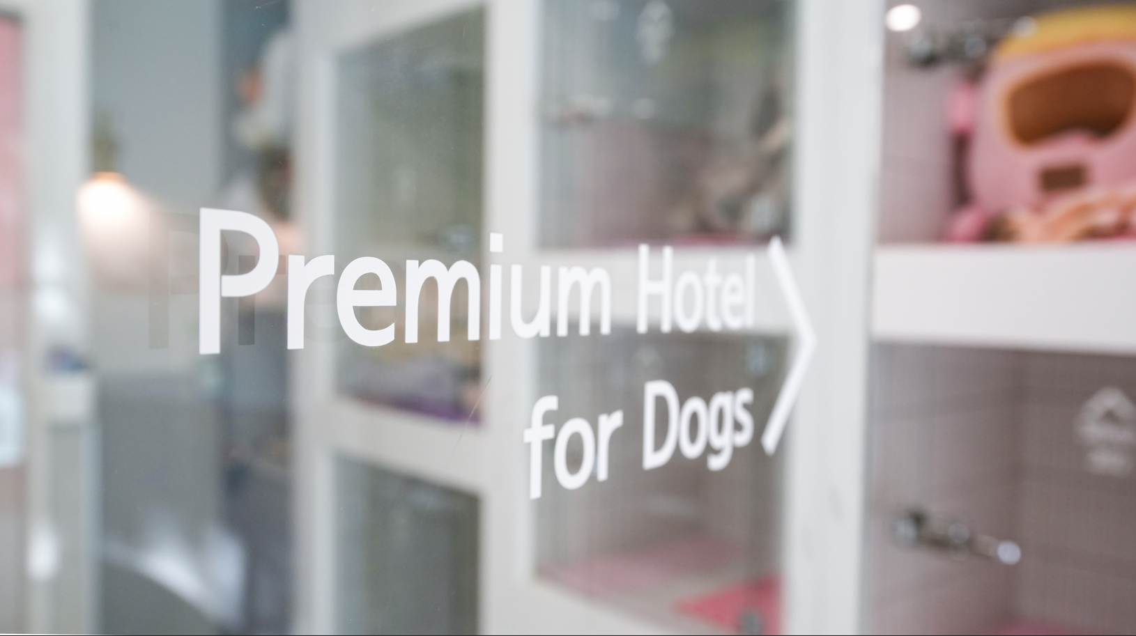 링크 동물의료센터 대표 이미지