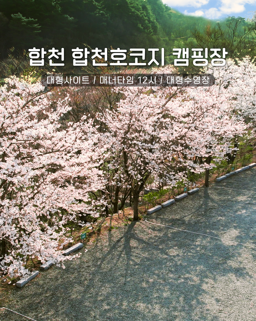 합천호 코지캠핑장 [merged→2220]