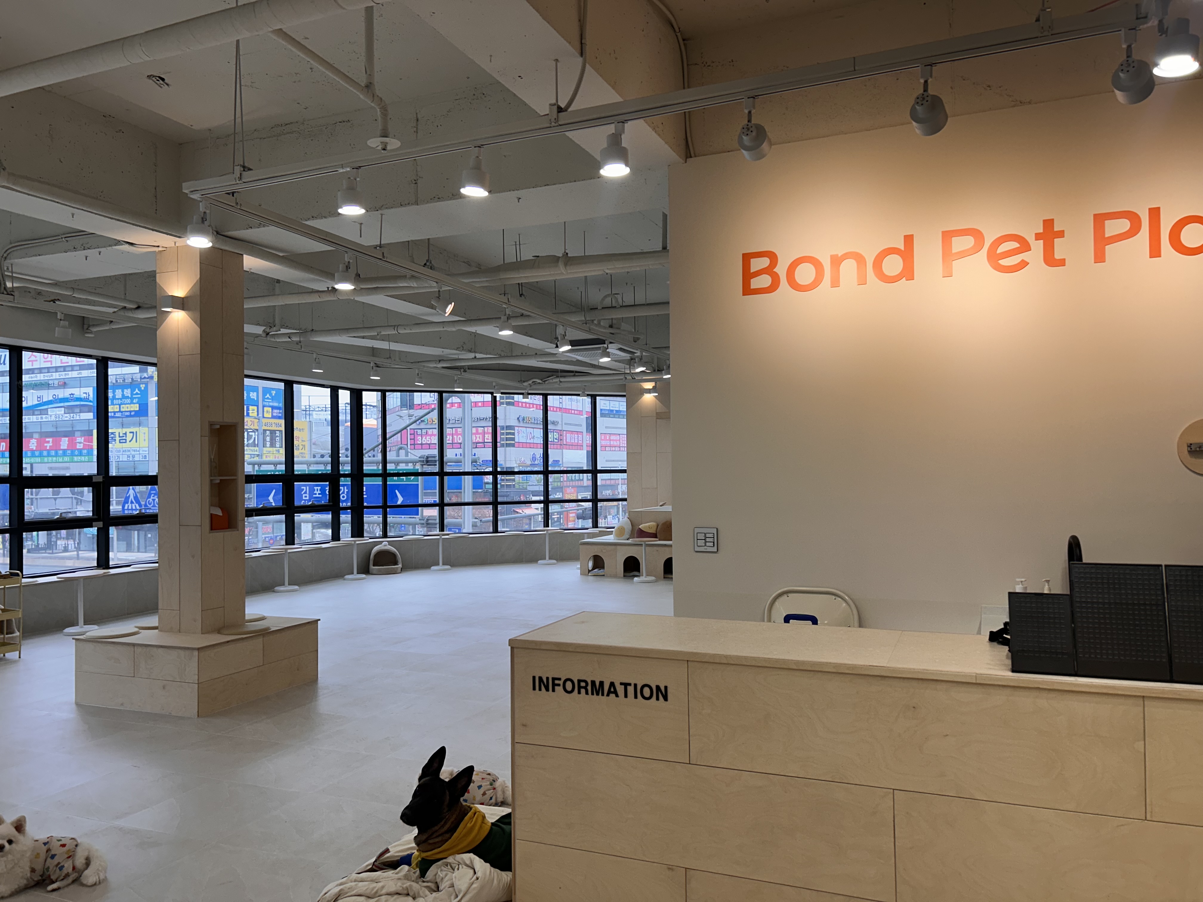 본펫 플래닛 대표 이미지