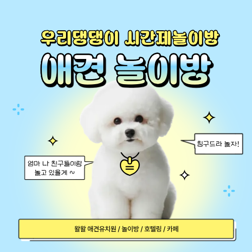 왈왈애견카페 유치원 호텔 픽업