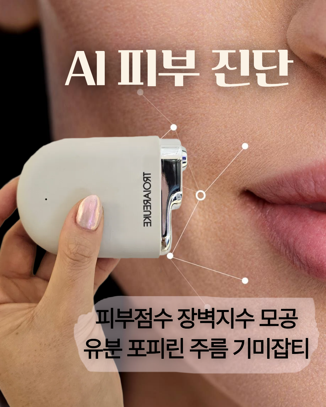 트로이아르케 대표 이미지