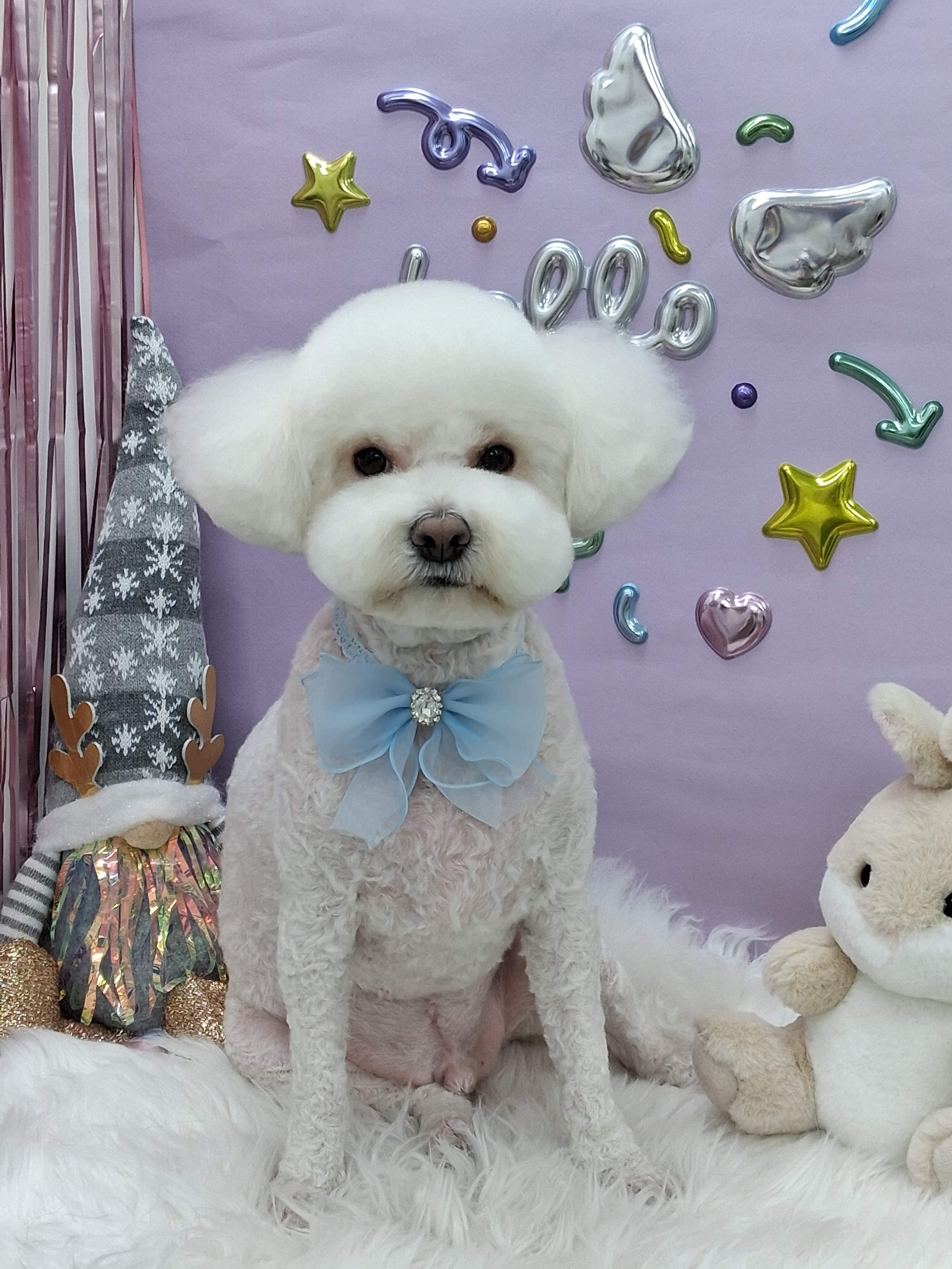 댕구름살롱 대표 이미지