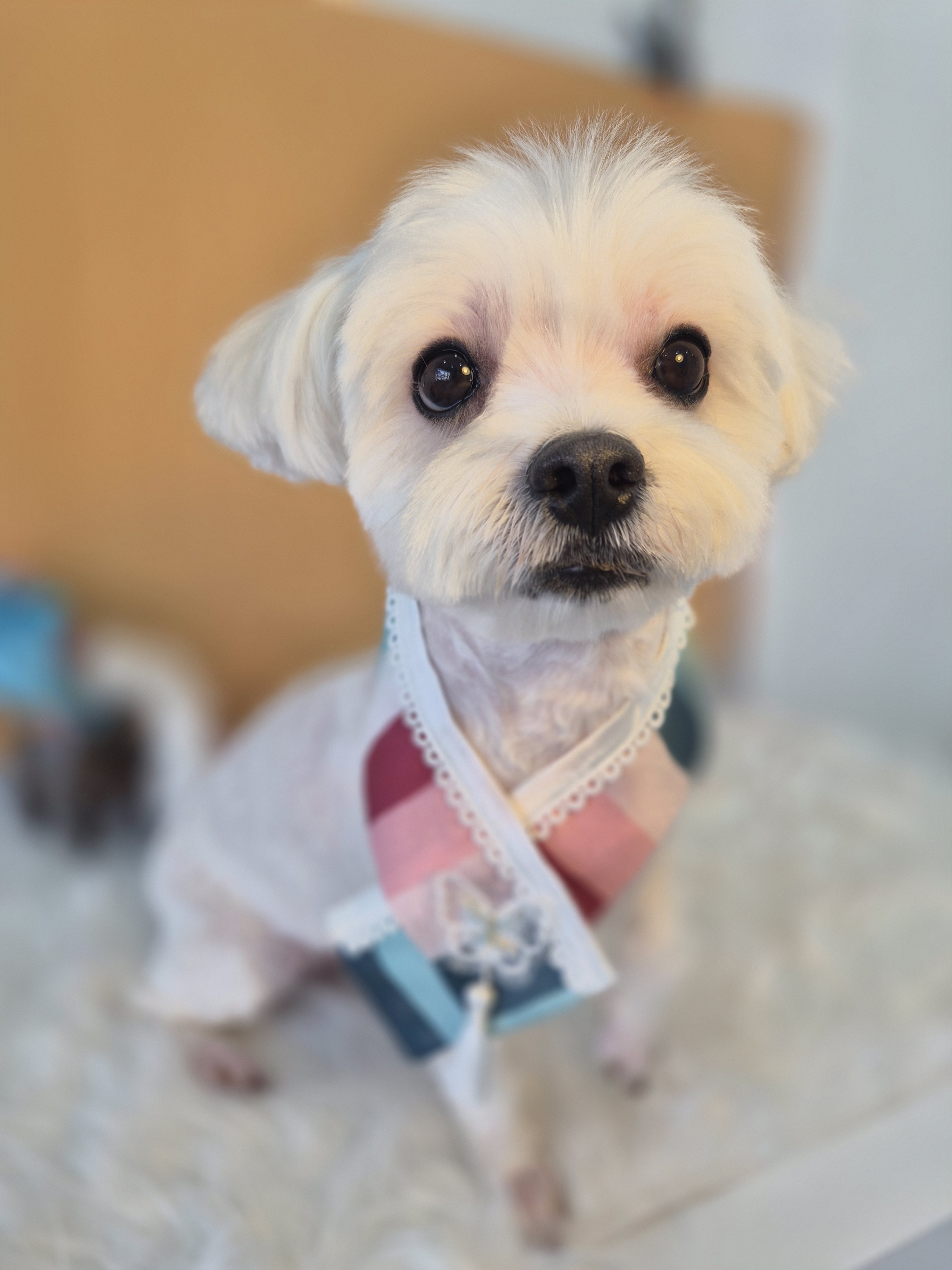 또비네 목욕탕 대표 이미지