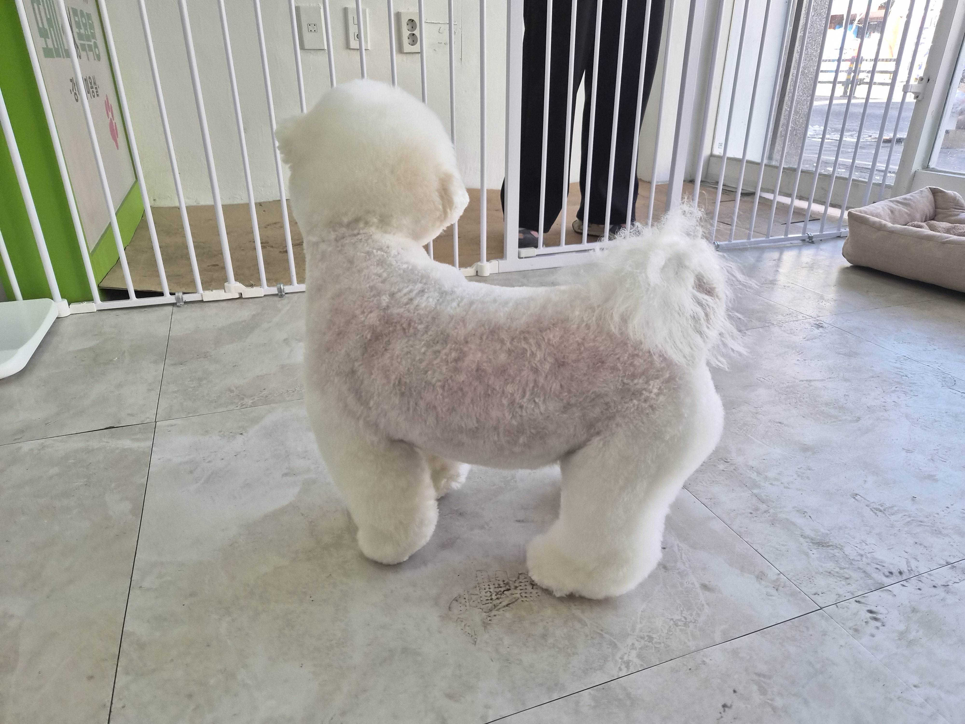 또비네 목욕탕 대표 이미지